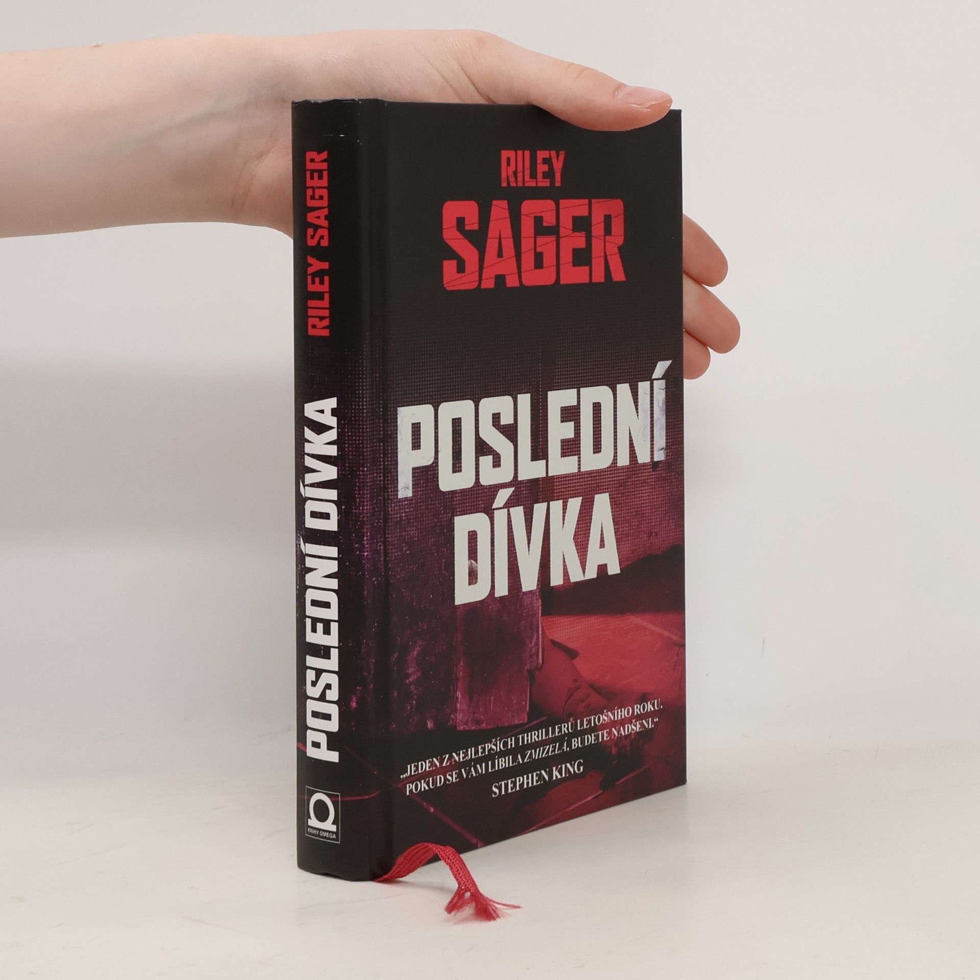 Todd Ritter Poslední dívka