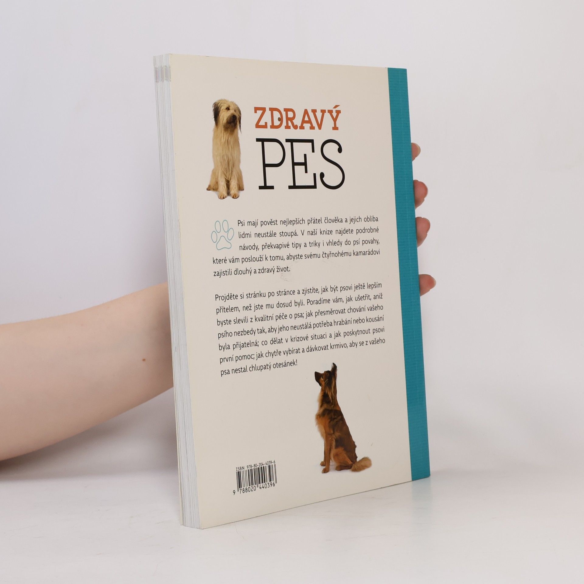 Arden Moore Zdravý pes: Tipy & triky jak zajistit vašemu psovi delší, zdravější a šťastnější život