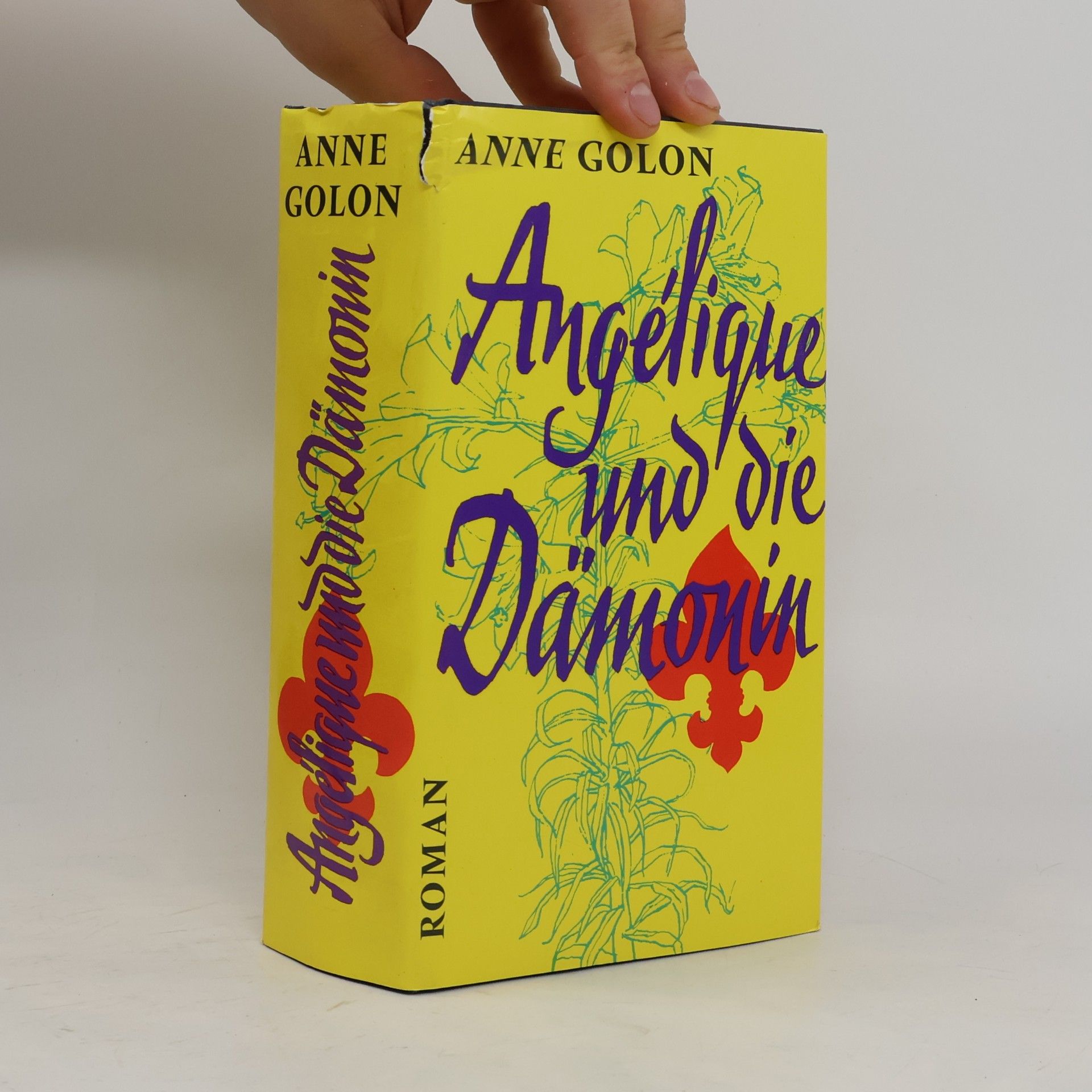 Anne Golon Angélique und die Dämonin