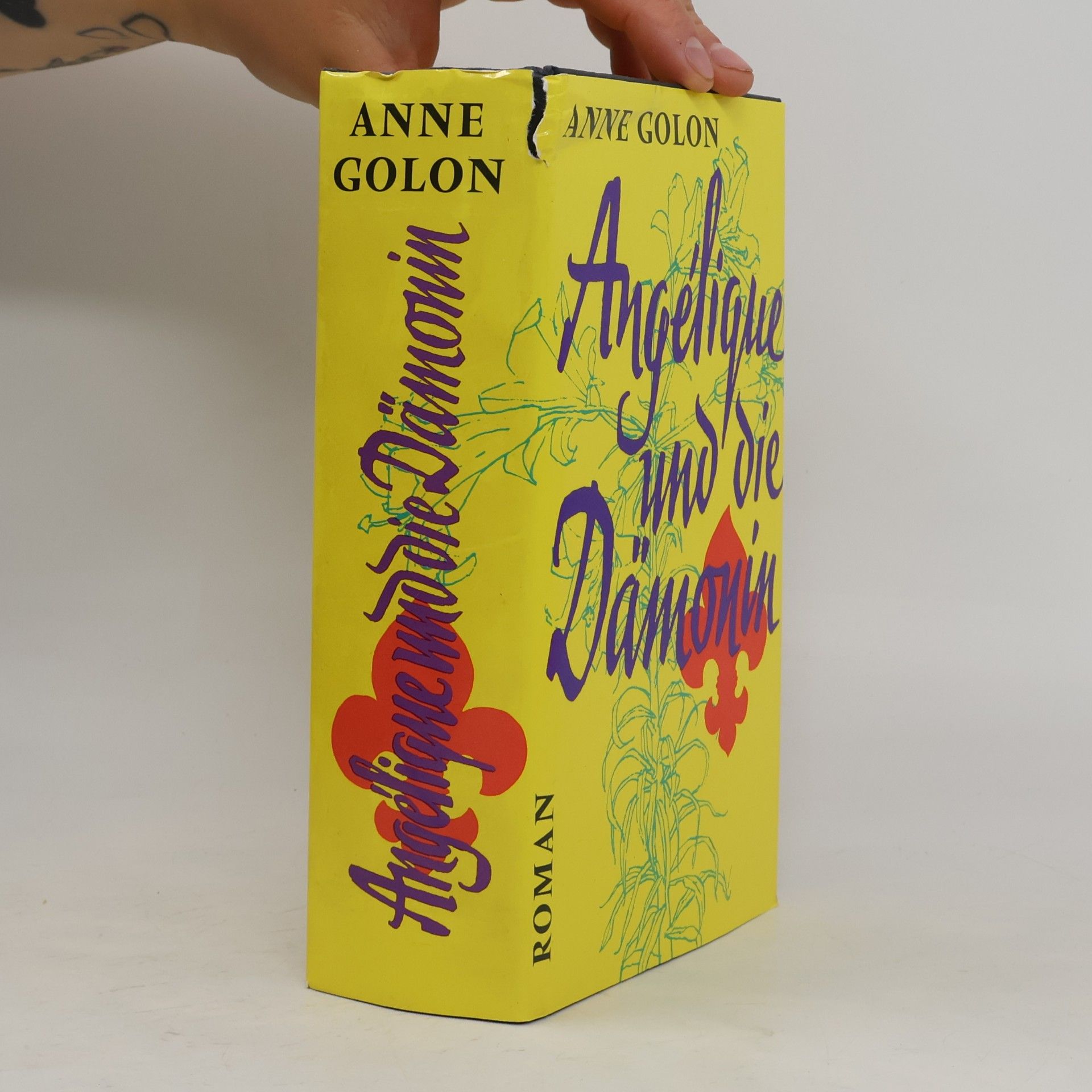 Anne Golon Angélique und die Dämonin