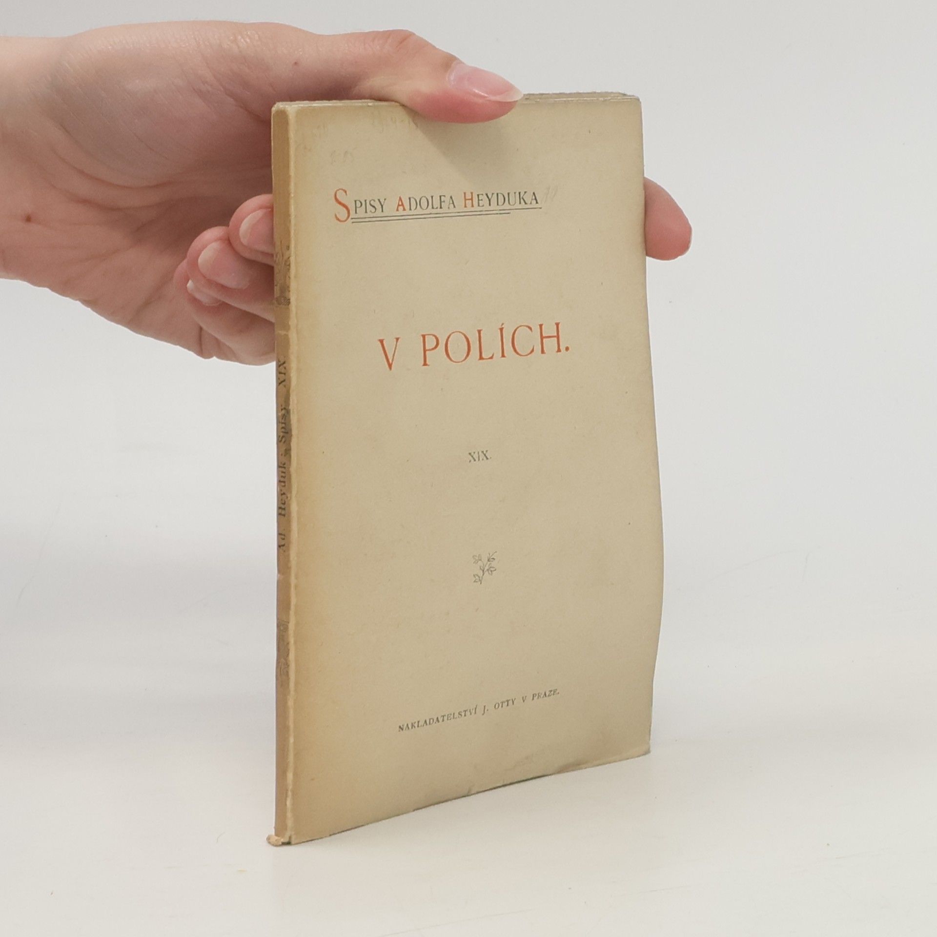 V polích