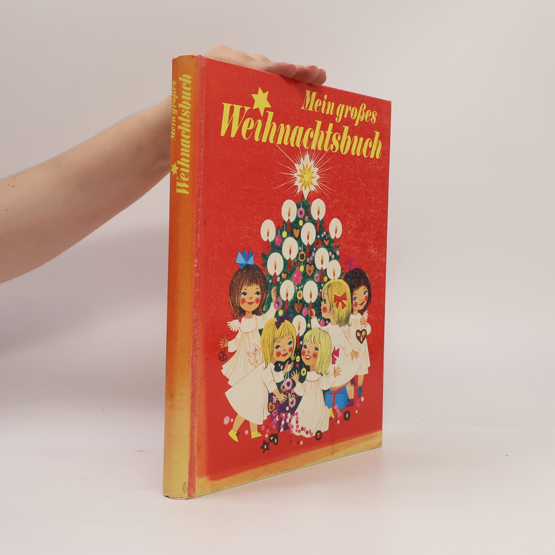 Various authors Mein großes Weihnachtsbuch