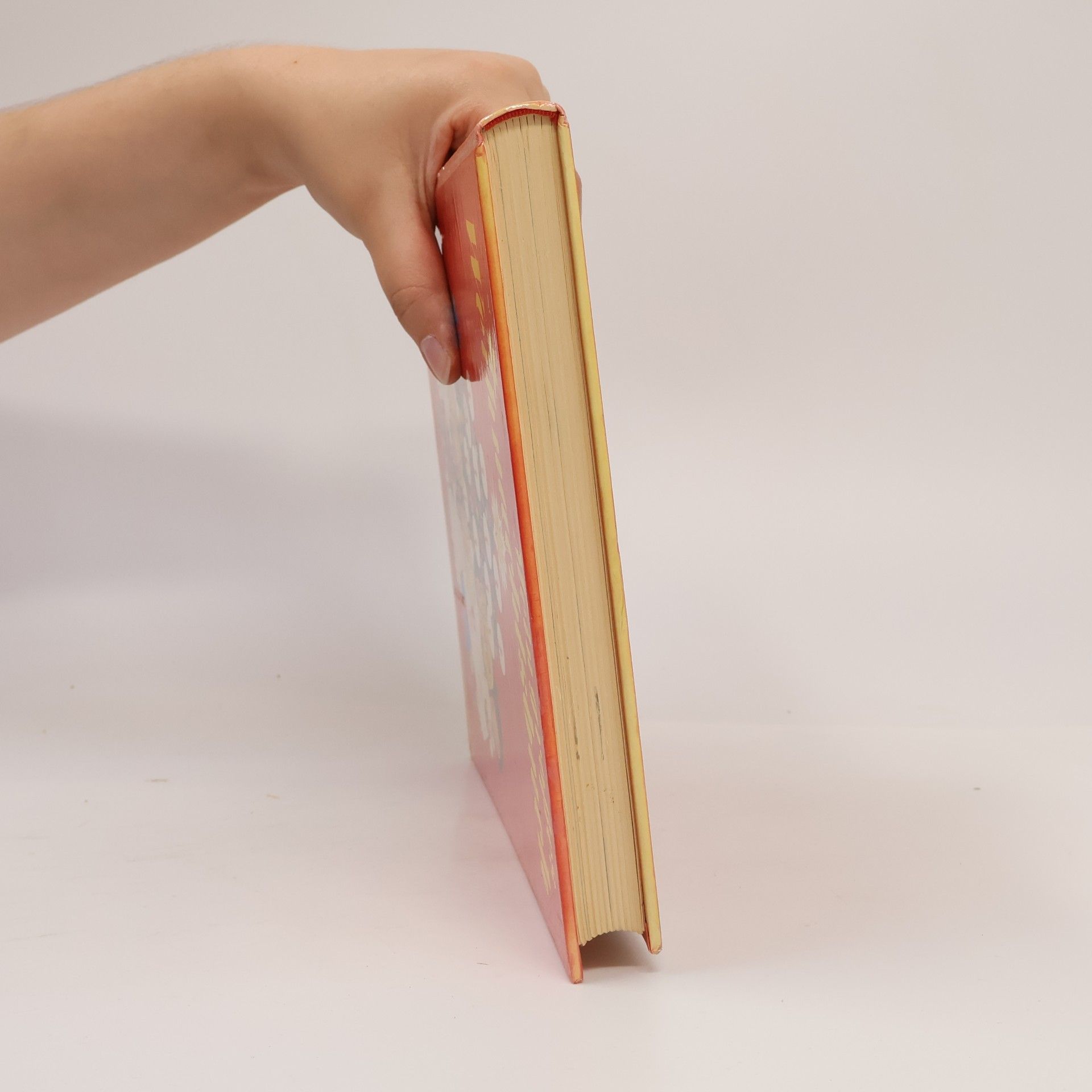 Various authors Mein großes Weihnachtsbuch