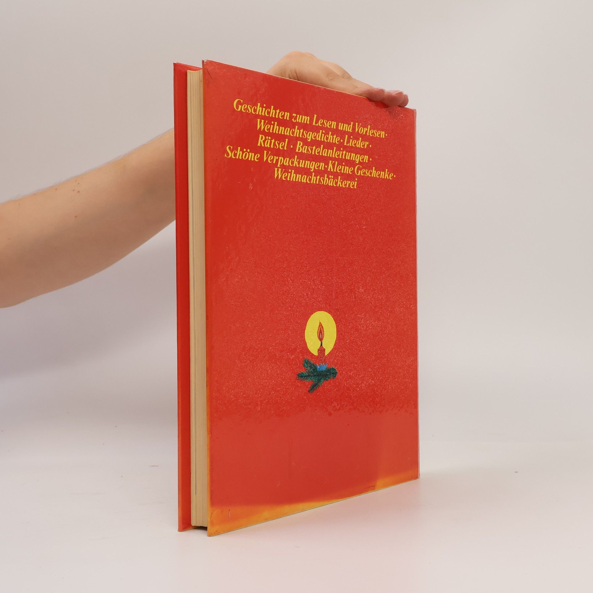 Various authors Mein großes Weihnachtsbuch