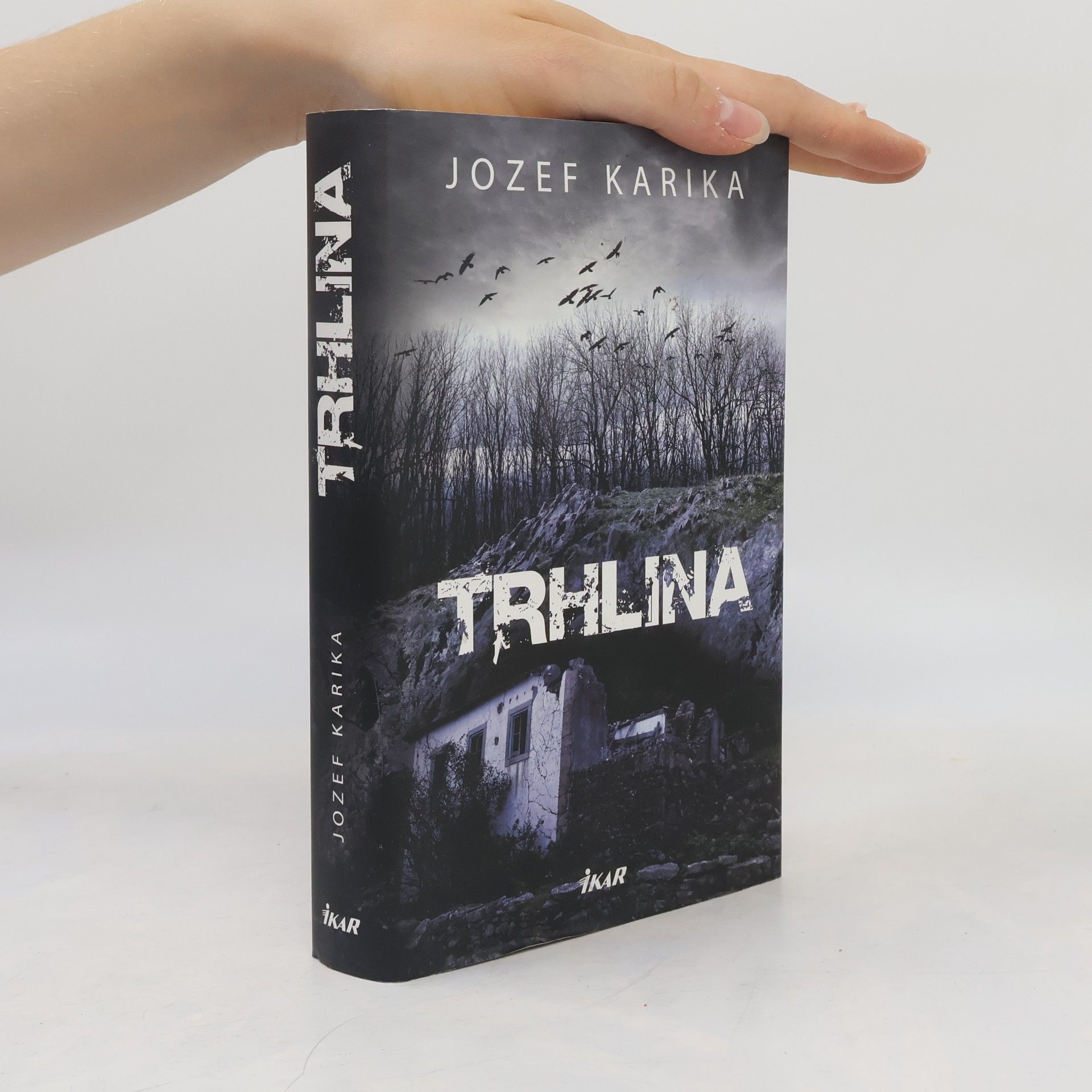 Jozef Karika Trhlina