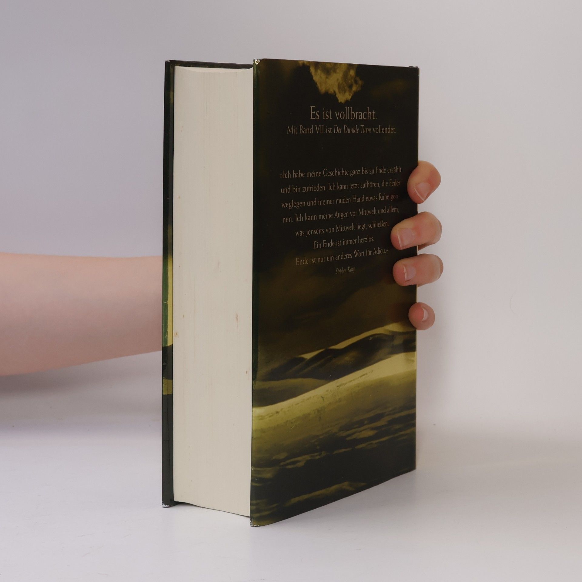 Stephen King Der dunkle Turm VII