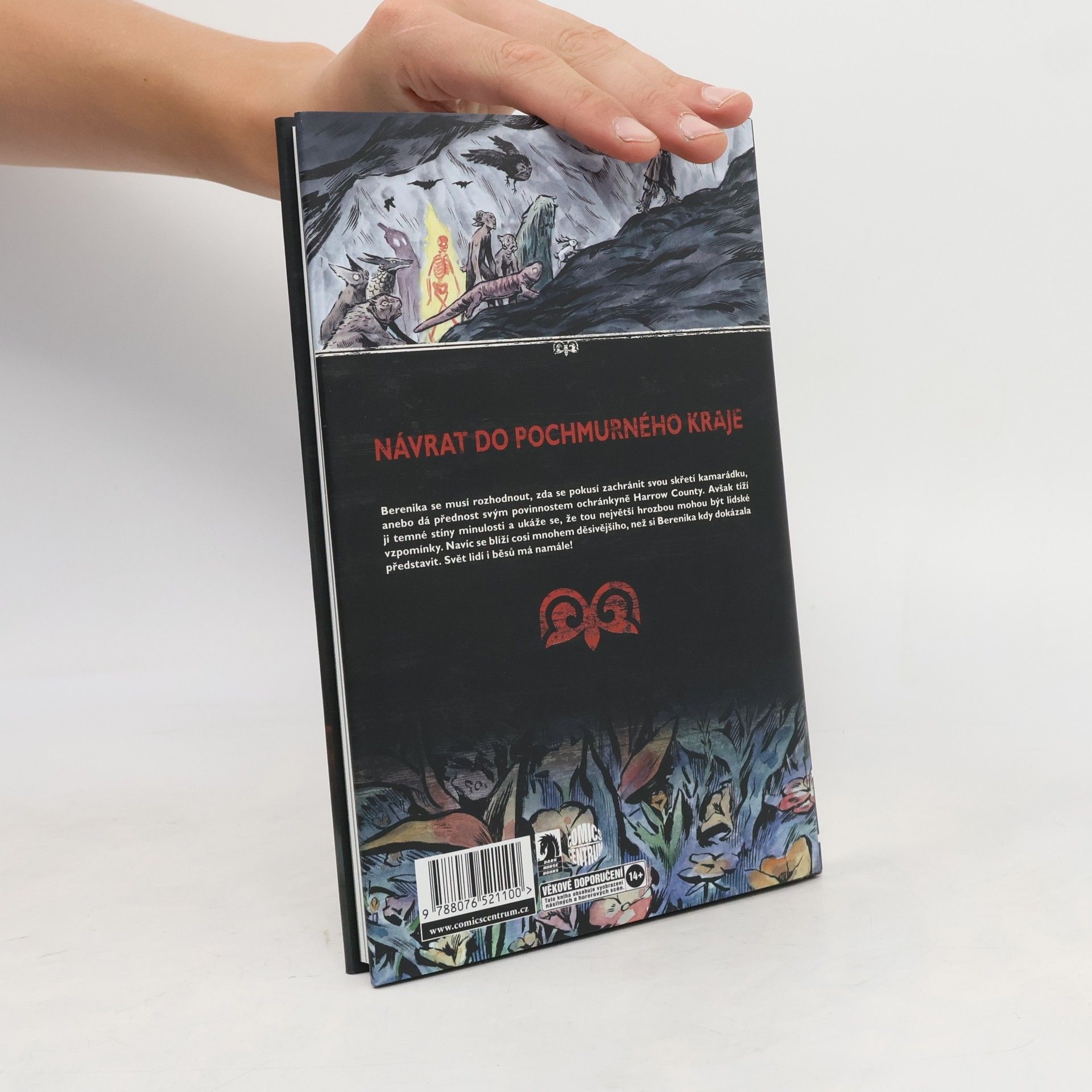 Cullen Bunn Pochmurný kraj: Odkaz. Říše víl