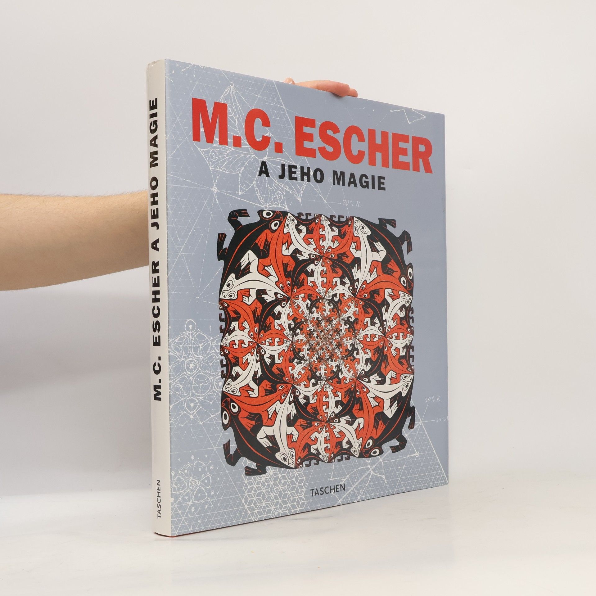 M. C. Escher a jeho magie