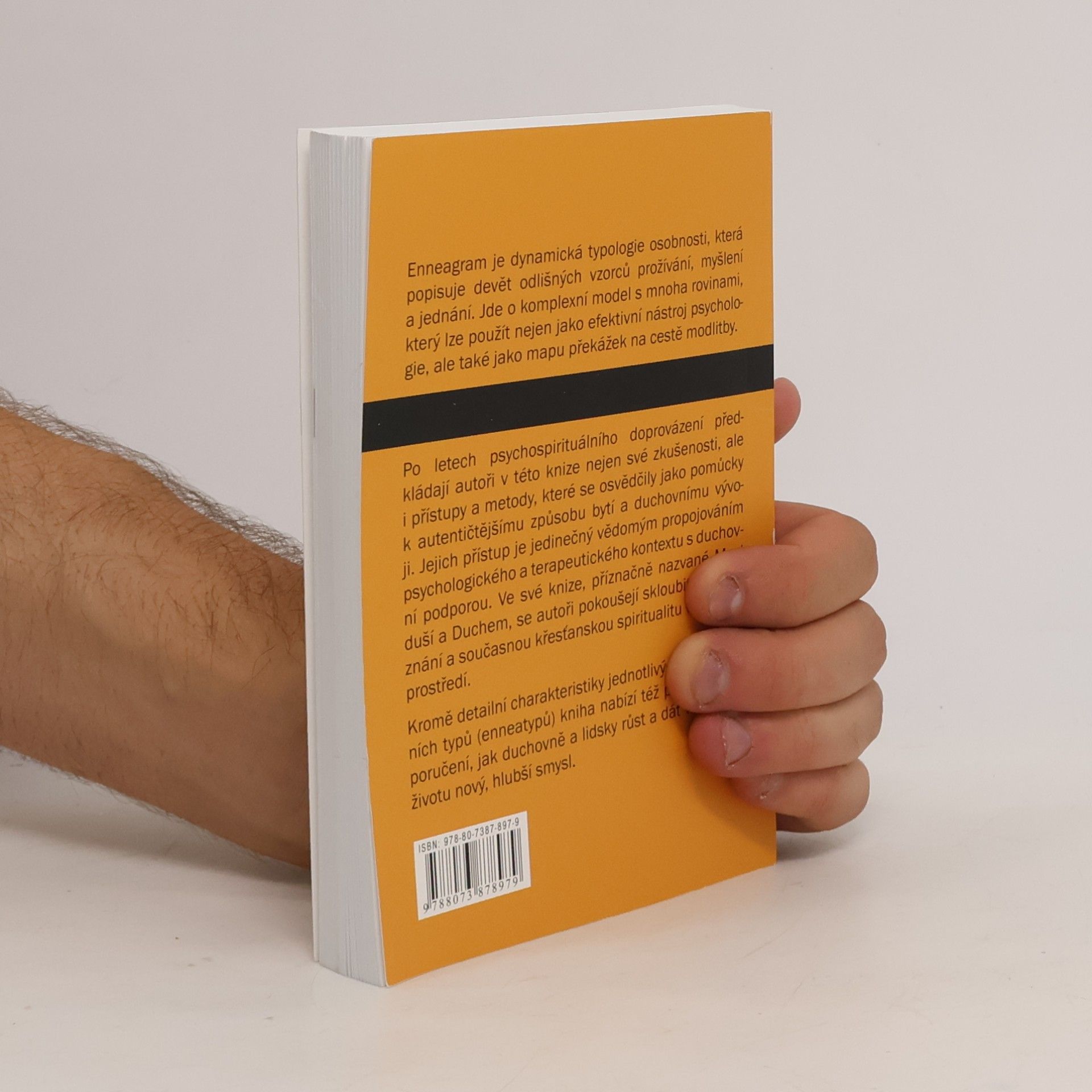 Michal Petr Mezi duší a duchem. Enneagram a křesťanská spiritualita.