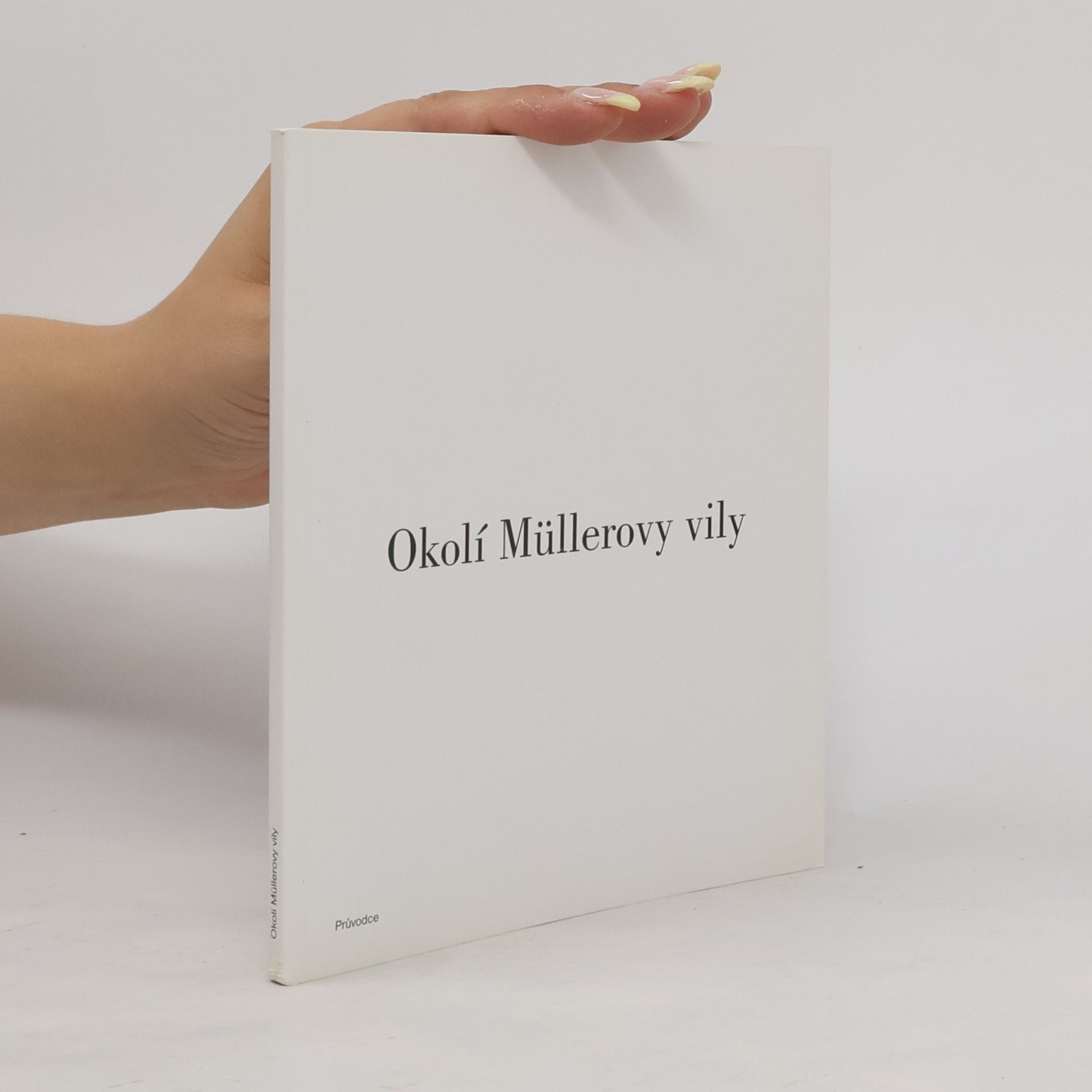 Ladislav Zikmund-Lender Okolí Müllerovy vily
