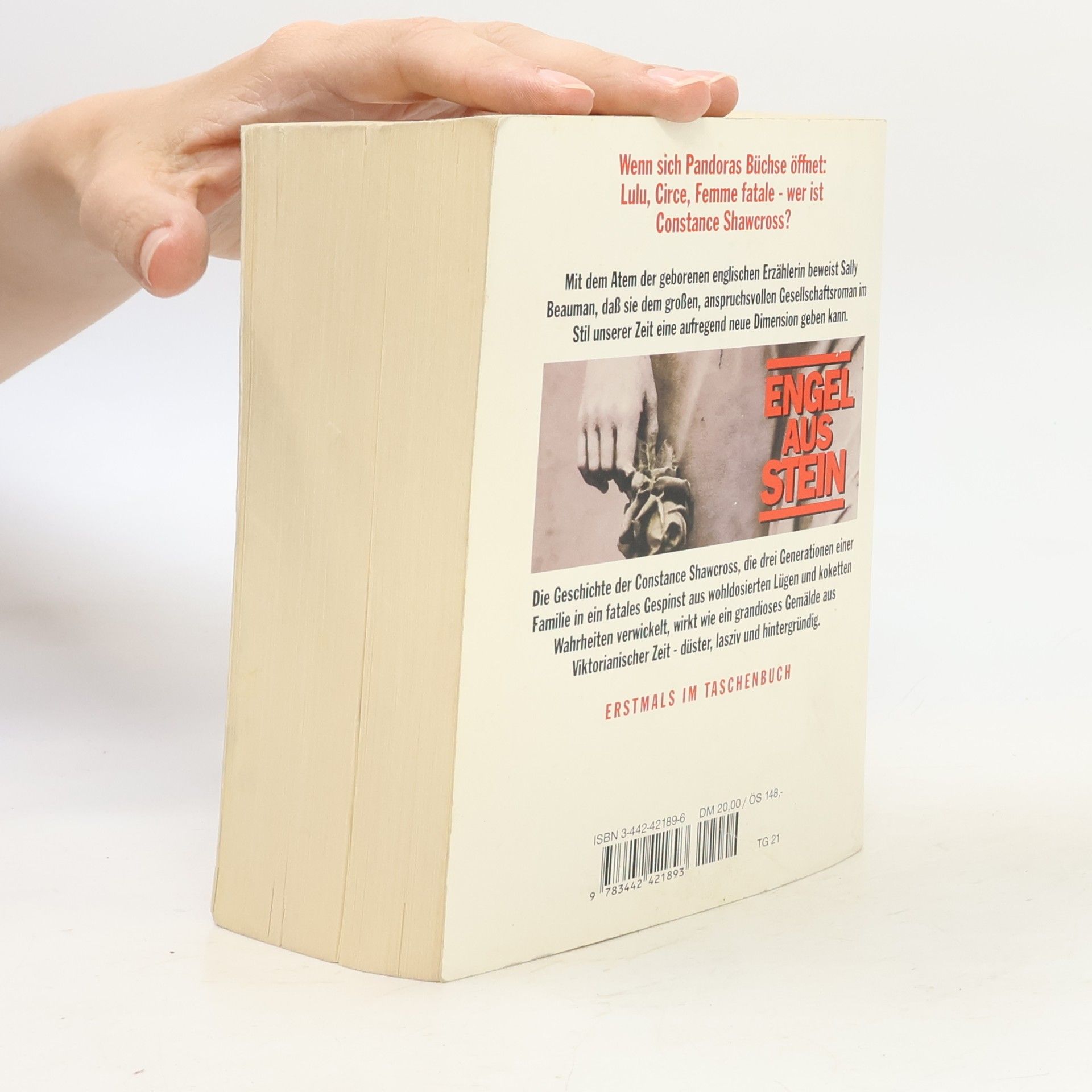 Sally Beauman Engel aus Stein
