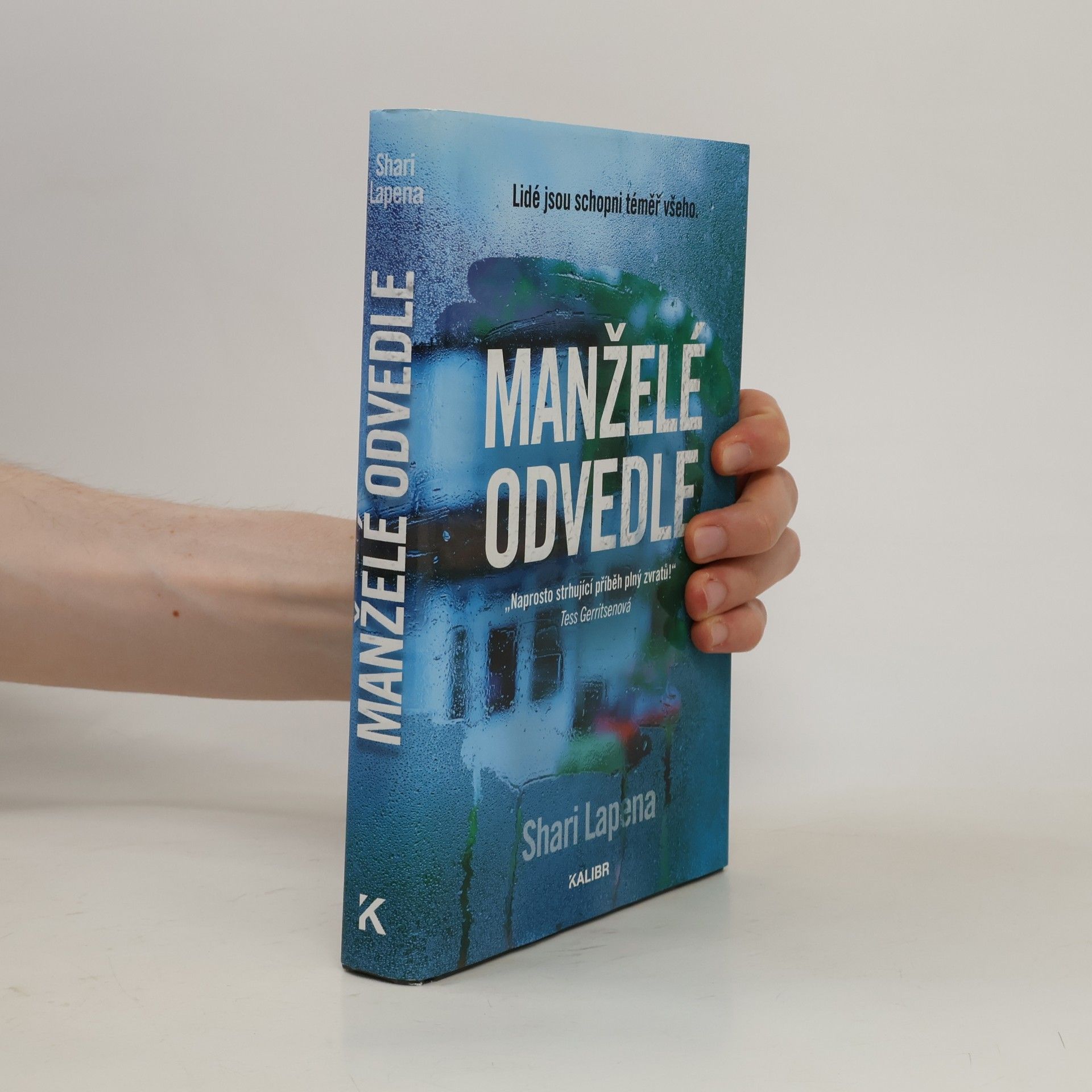 Shari Lapena Manželé odvedle