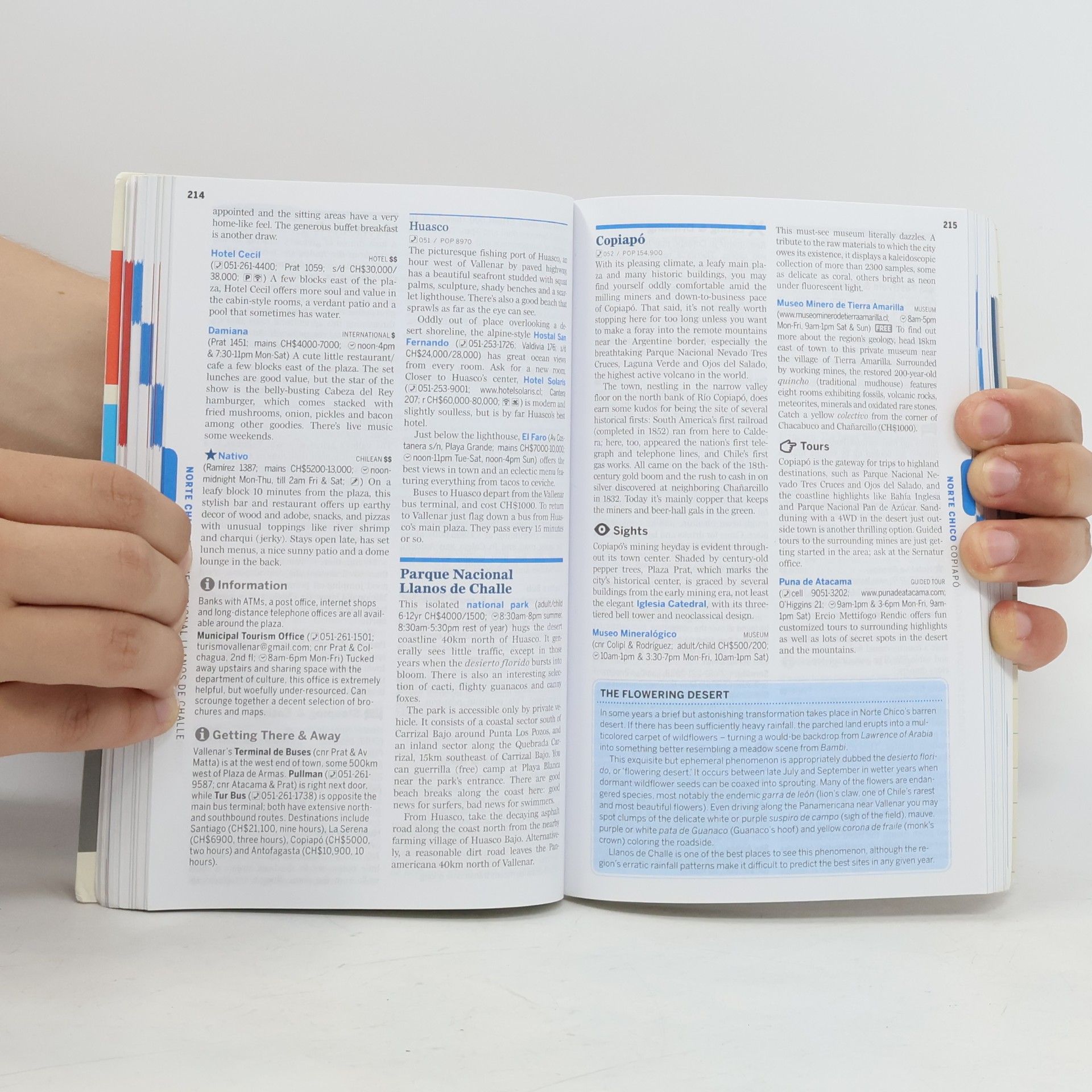 Autorenkollektiv Lonely Planet Chile & Easter Island Guide