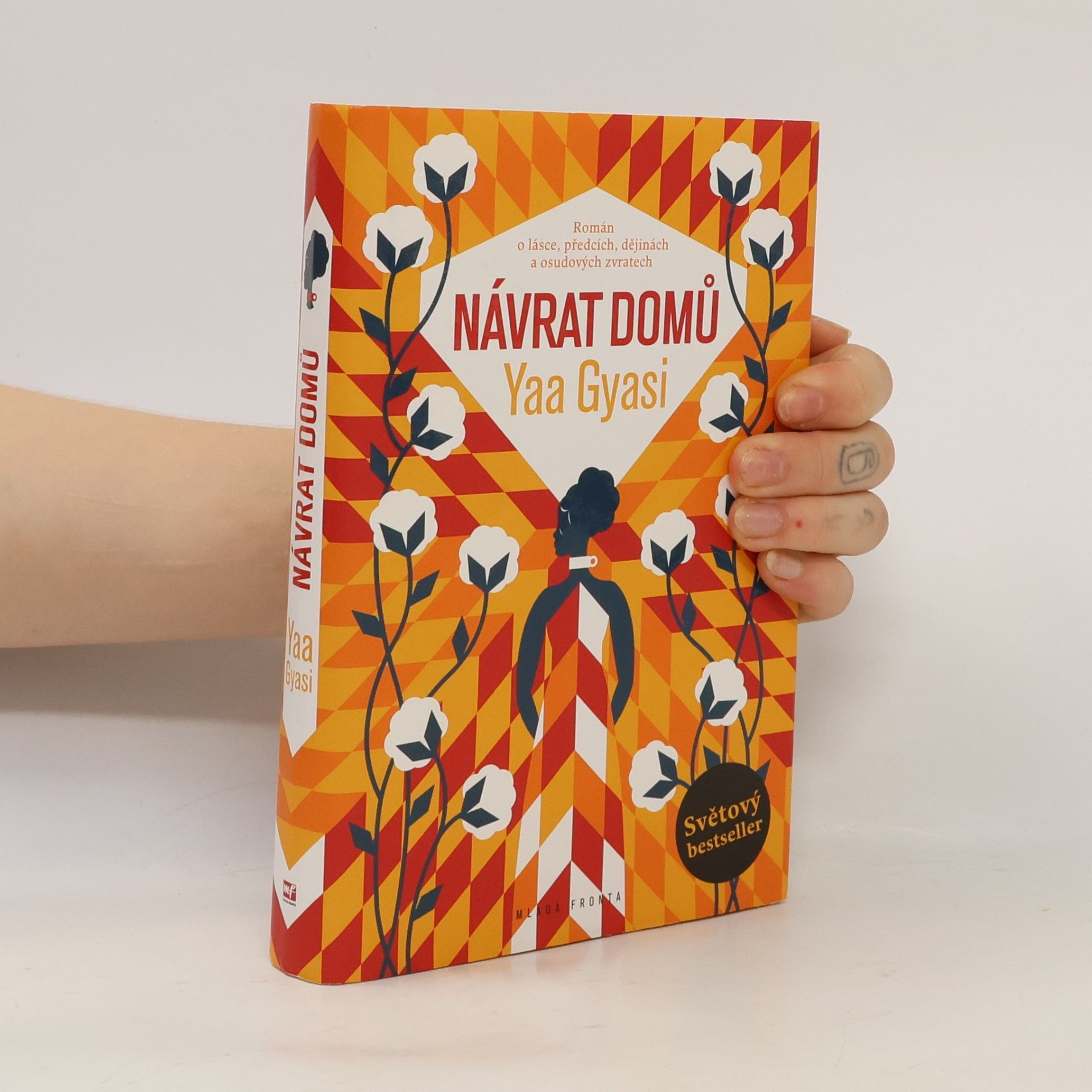 Yaa Gyasi Návrat domů