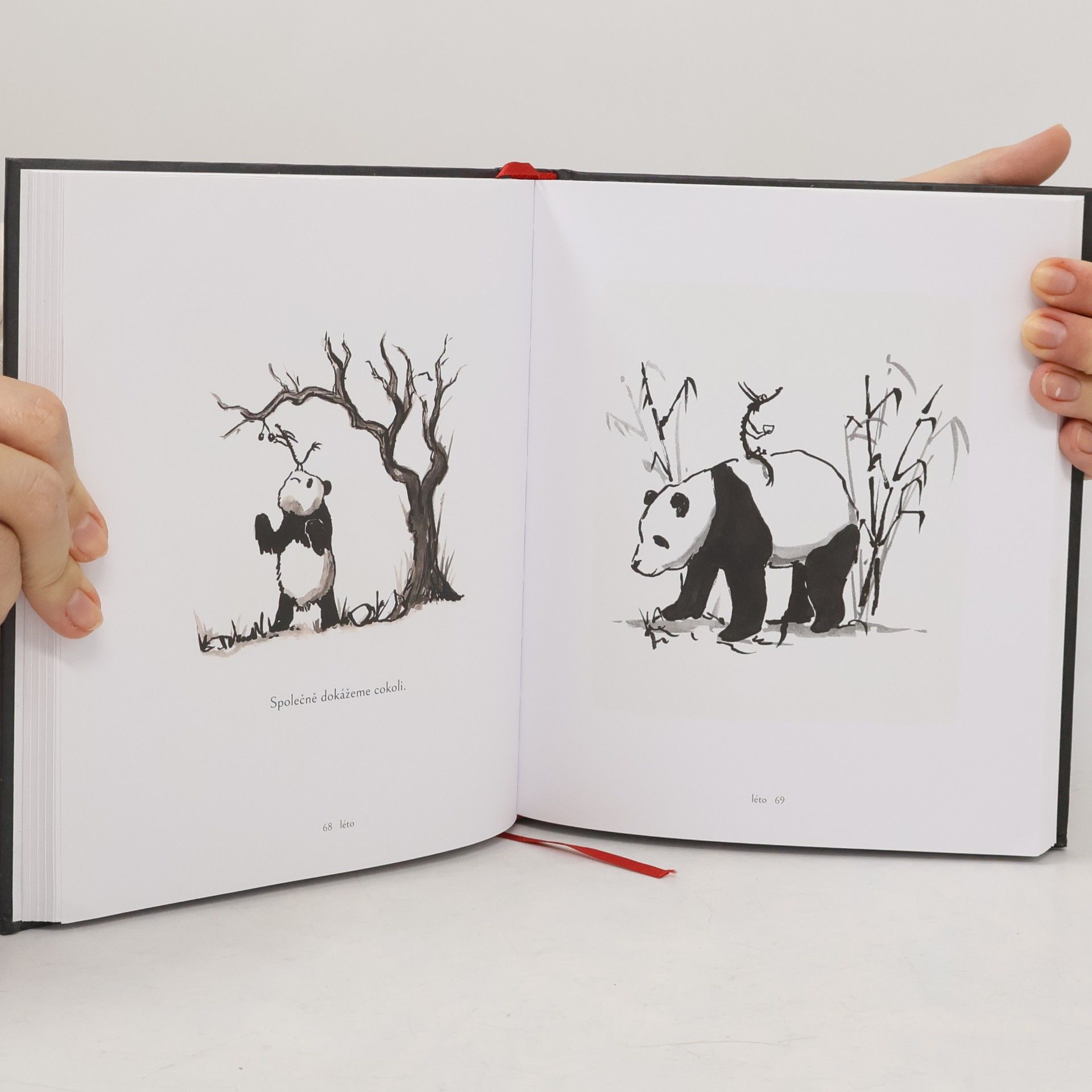 James Norbury Panda a dráček