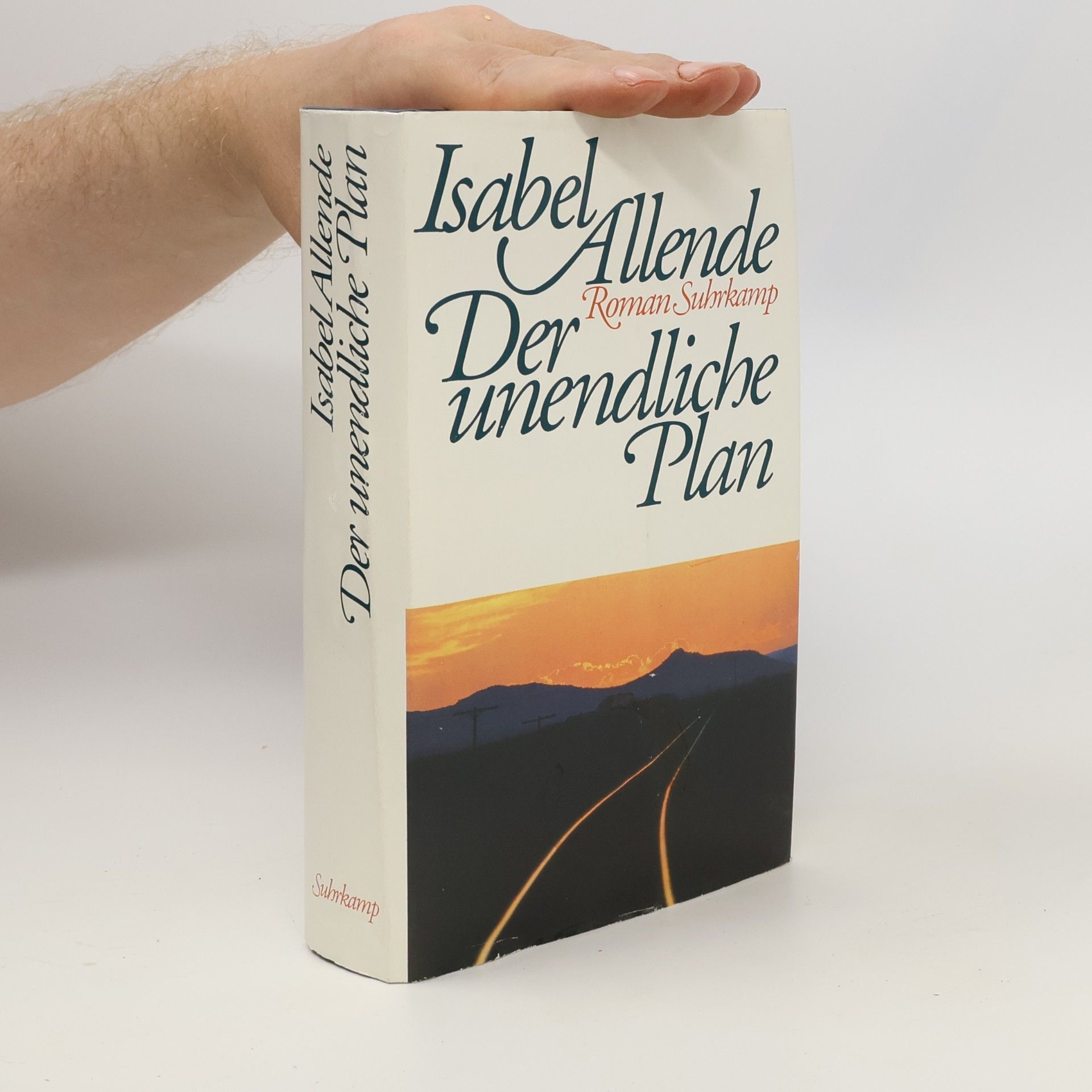 Isabel Allende Der unendliche Plan
