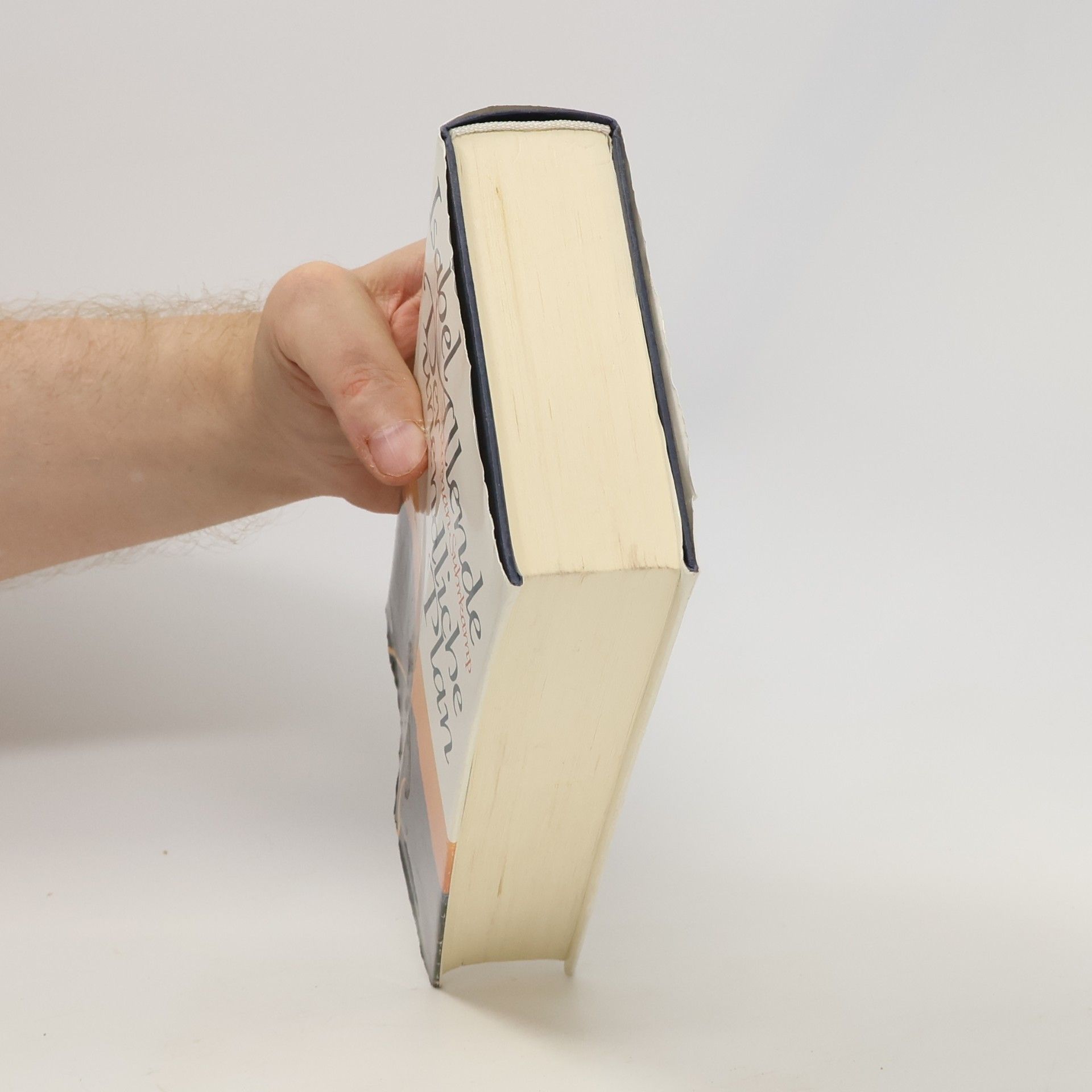 Isabel Allende Der unendliche Plan
