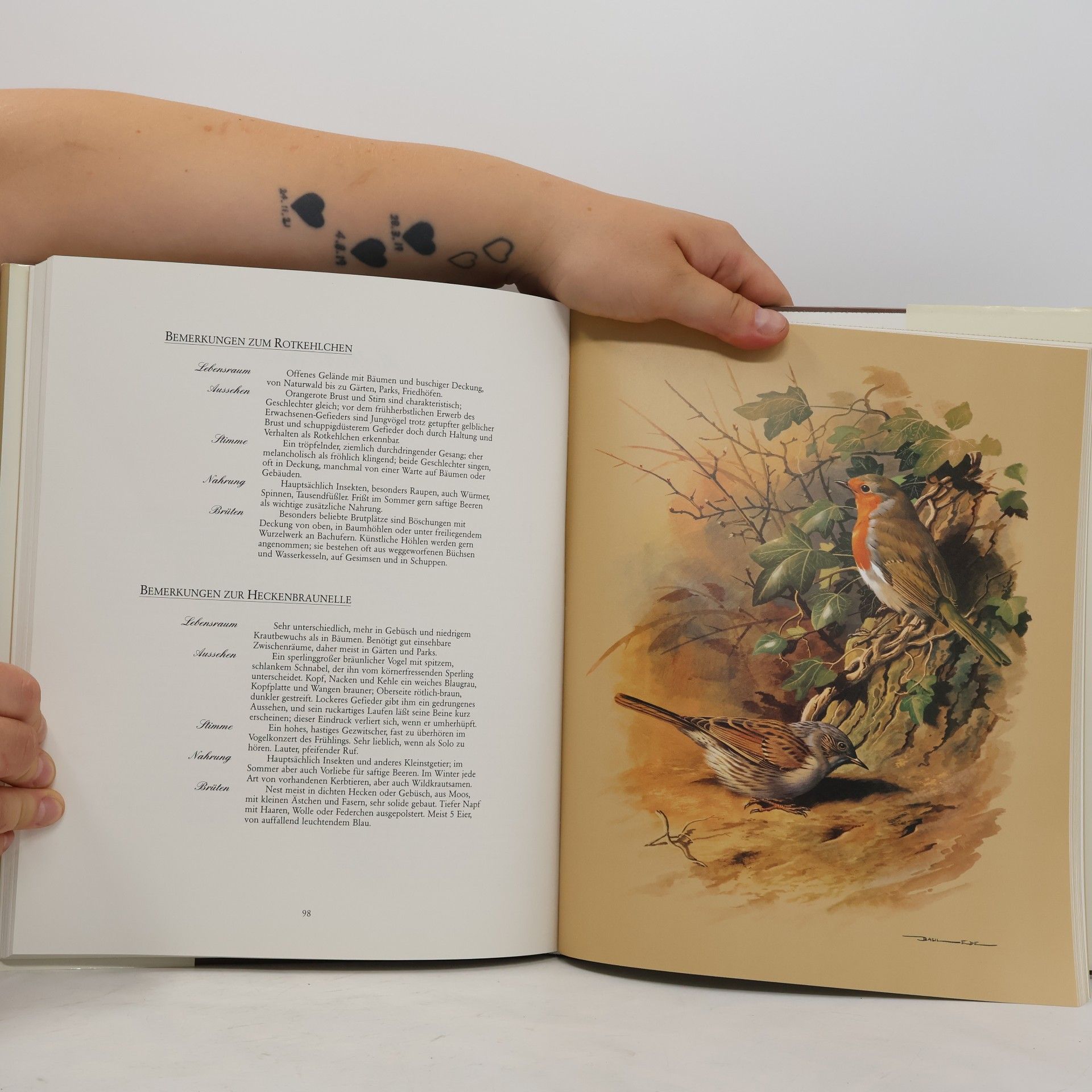 Goetz Rheinwald Unsere schöne Vogelwelt