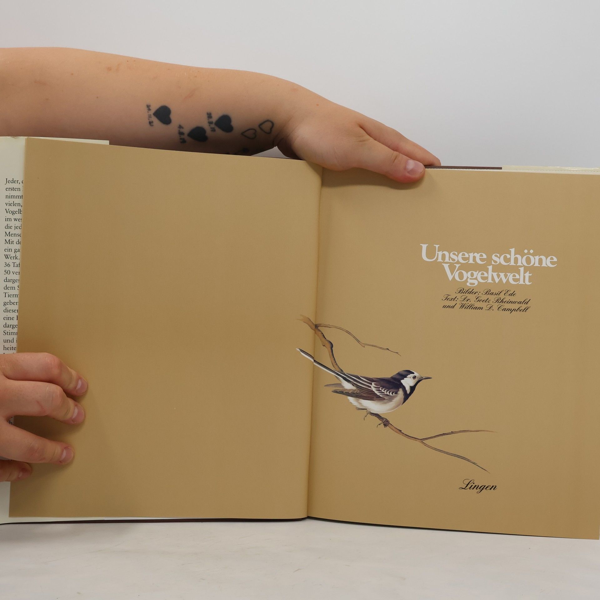 Goetz Rheinwald Unsere schöne Vogelwelt