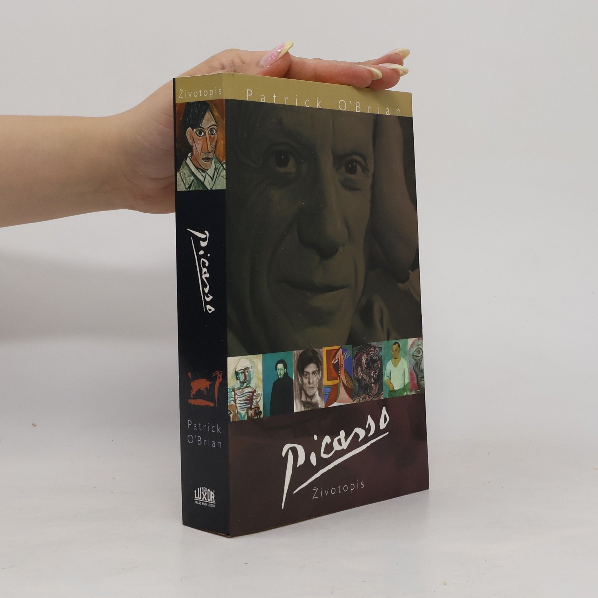 Patrick O'Brian Picasso. Životopis
