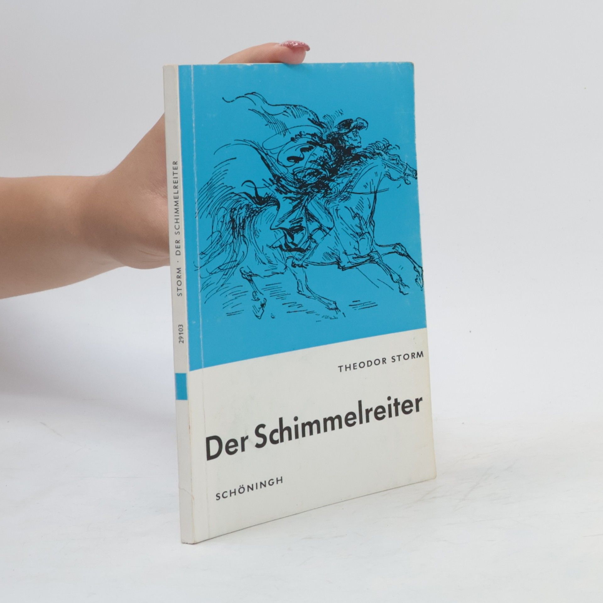 Theodor Storm Der Schimmelreiter