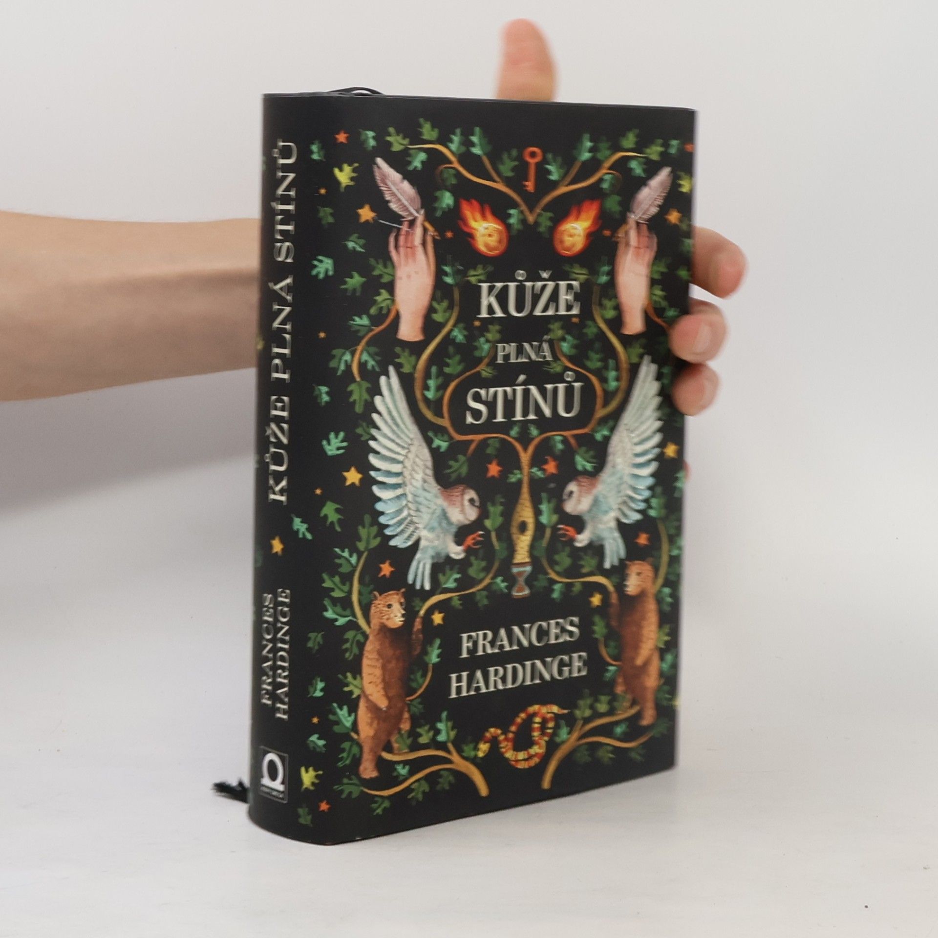 Frances Hardinge Kůže plná stínů