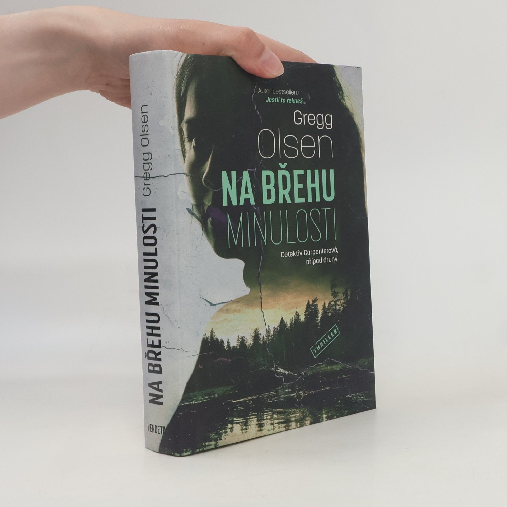 Gregg Olsen Na břehu minulosti