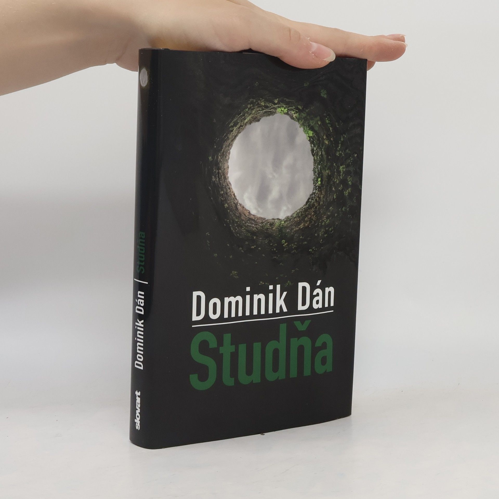 Dominik Dán Studňa