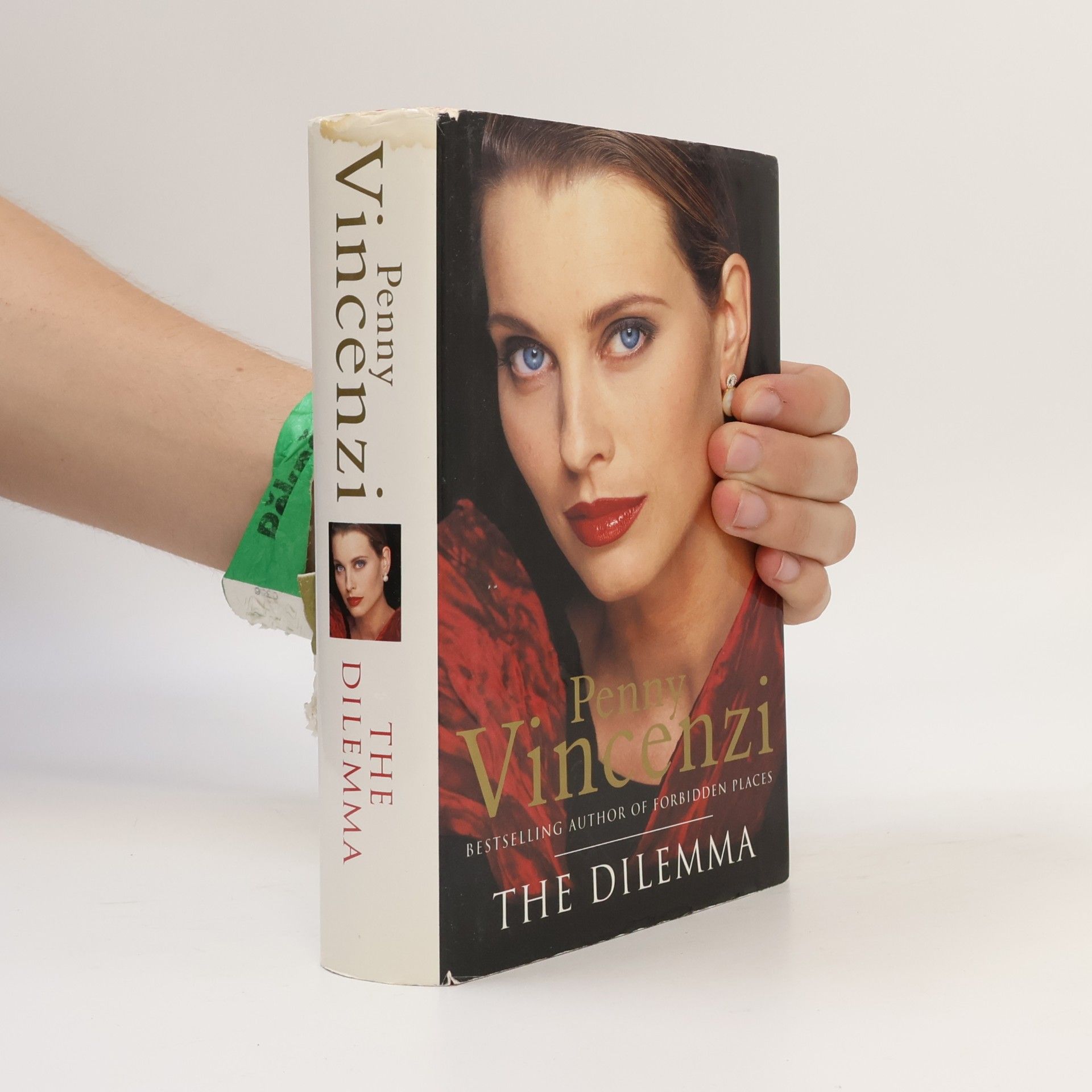 Penny Vincenzi The Dilemma