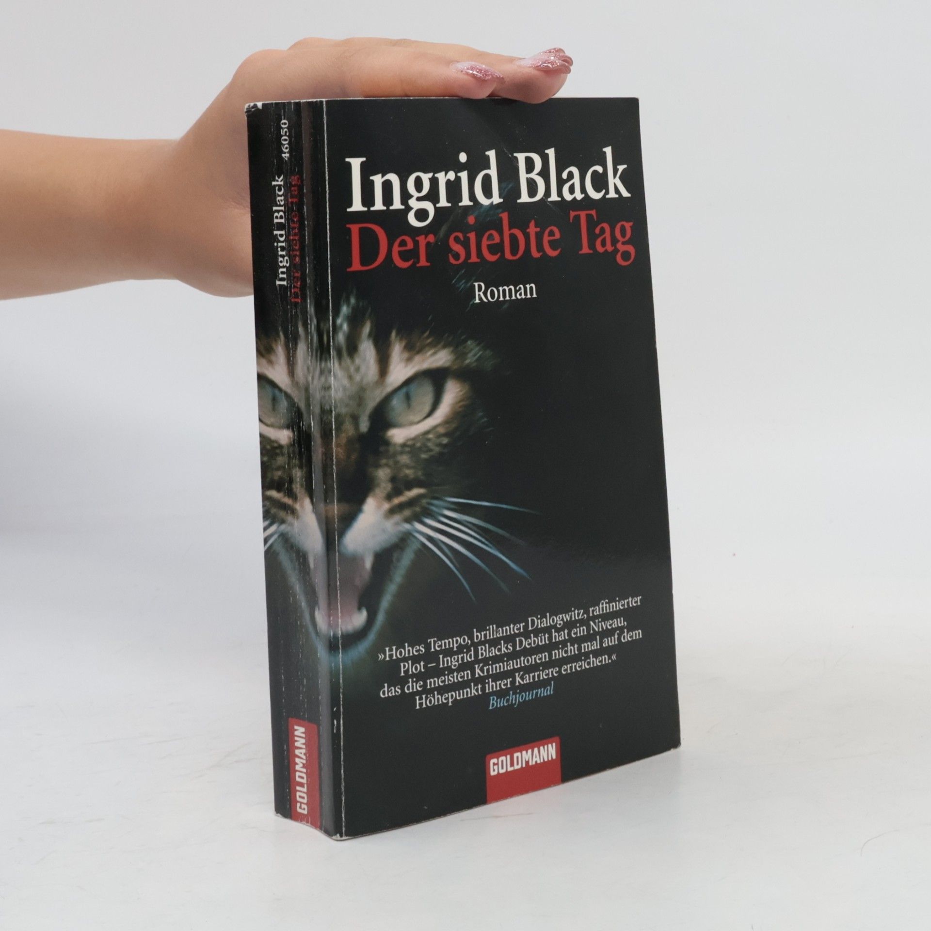 Ingrid Black Der siebte Tag