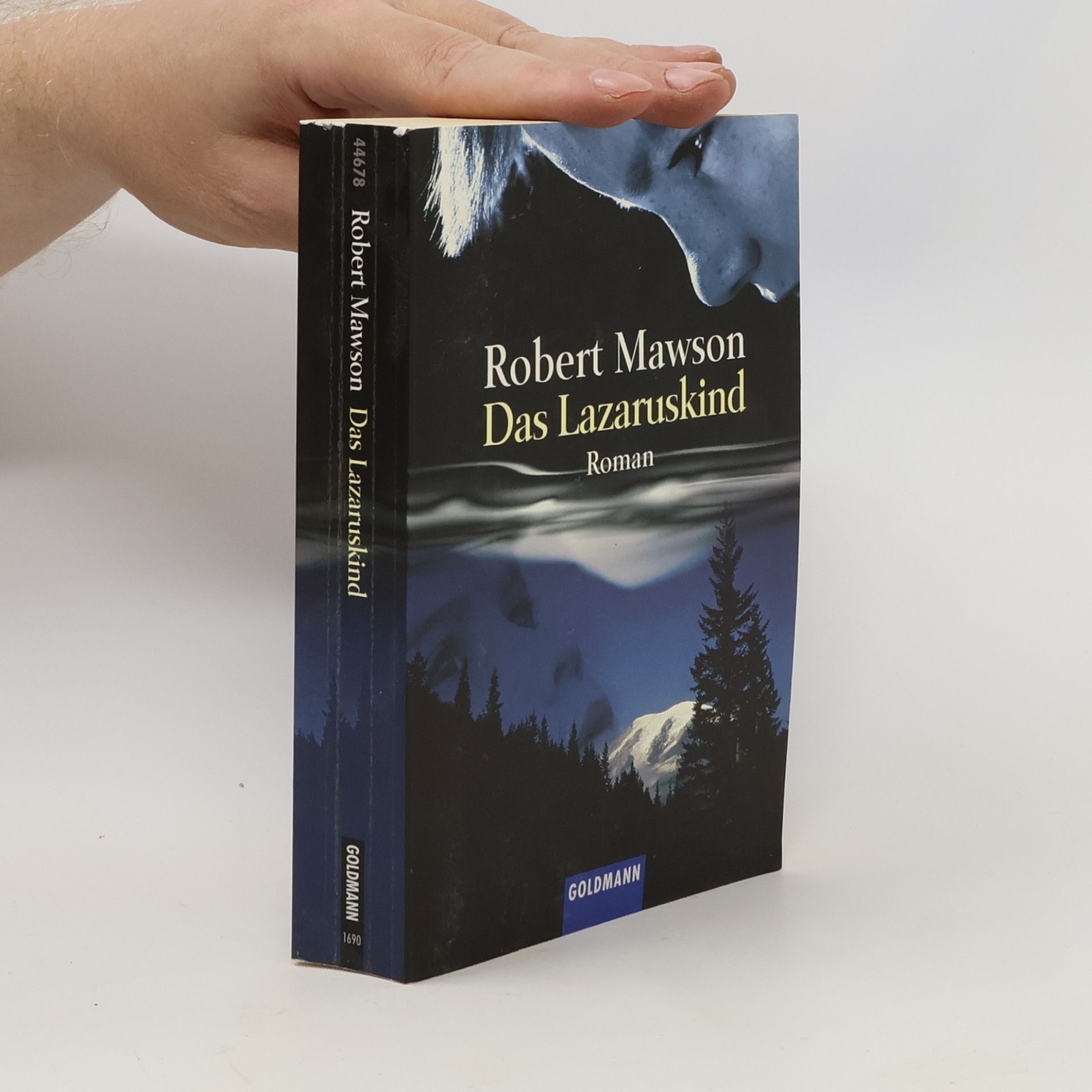 Robert Mawson Das Lazaruskind