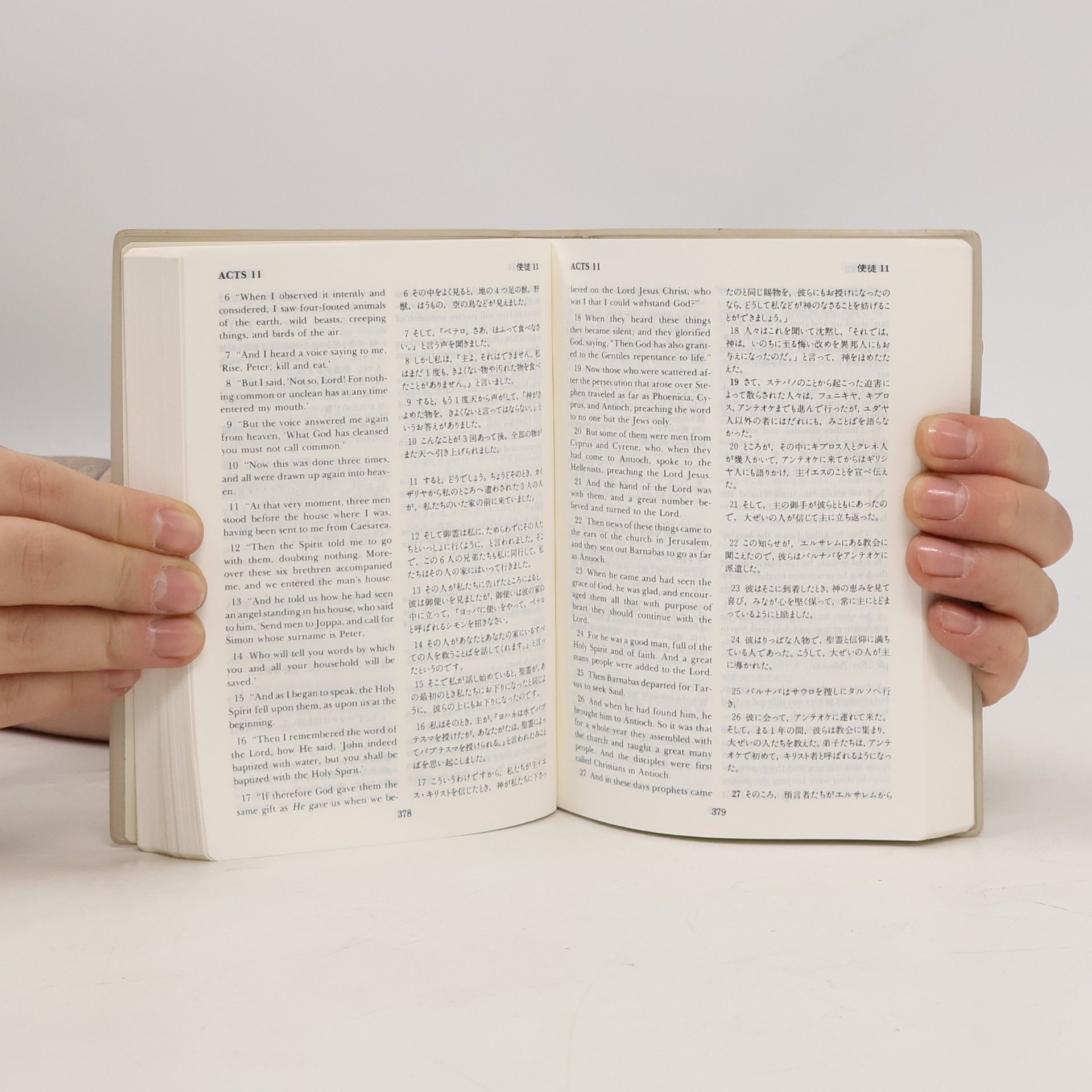 David Pawson 新旧约纵览新约 - Unlocking the Bible - New Testament (Chinese)