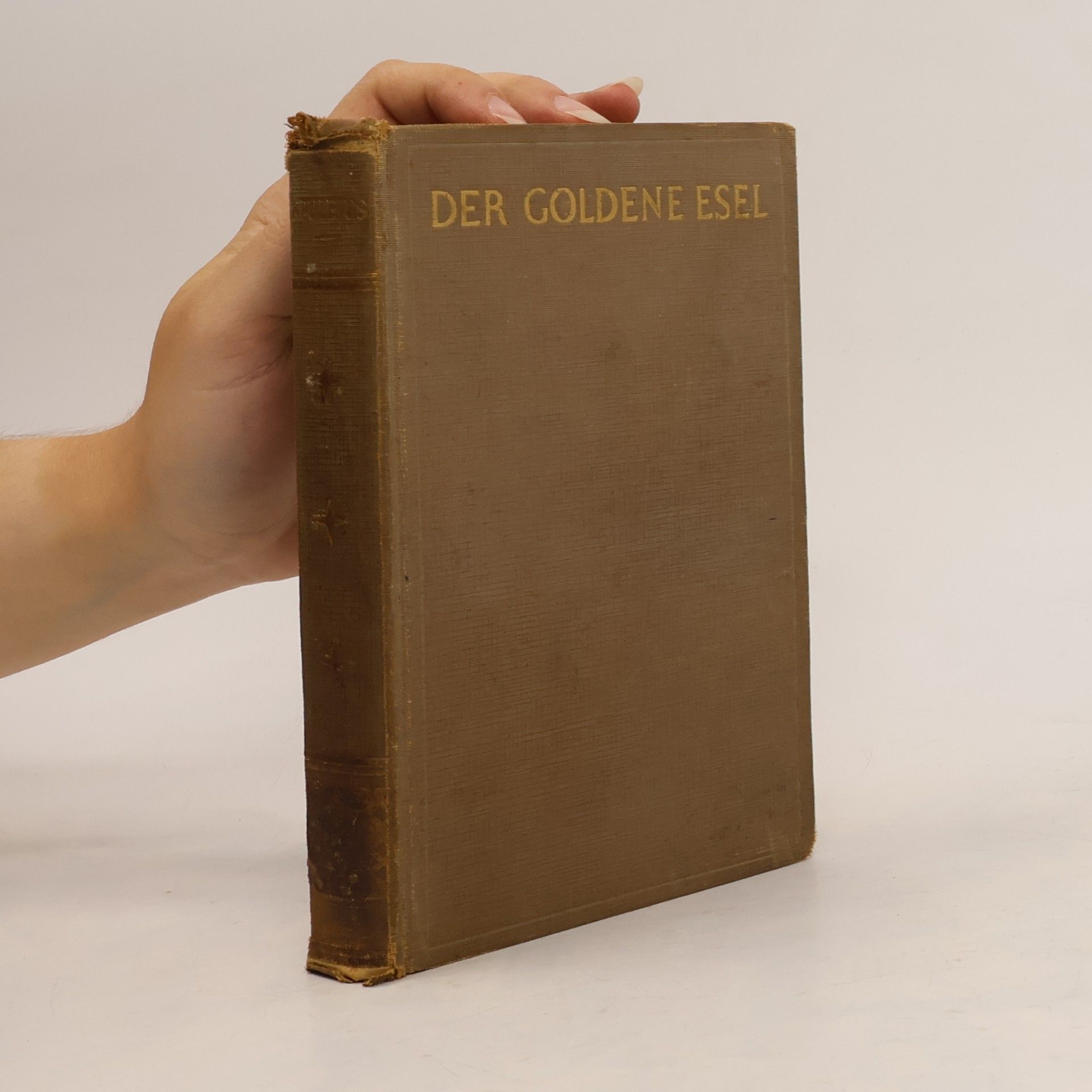Apuleius Der goldene Esel