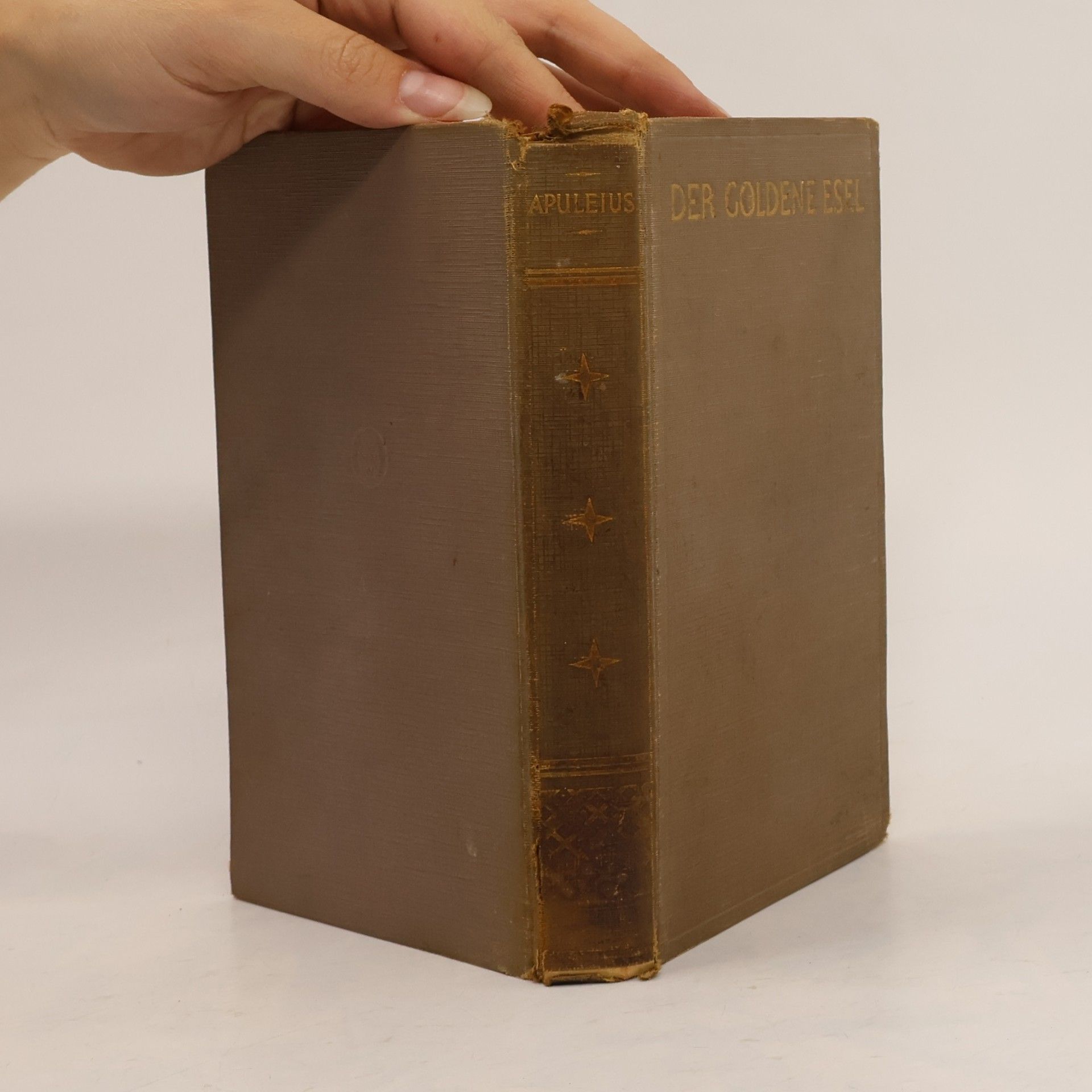 Apuleius Der goldene Esel