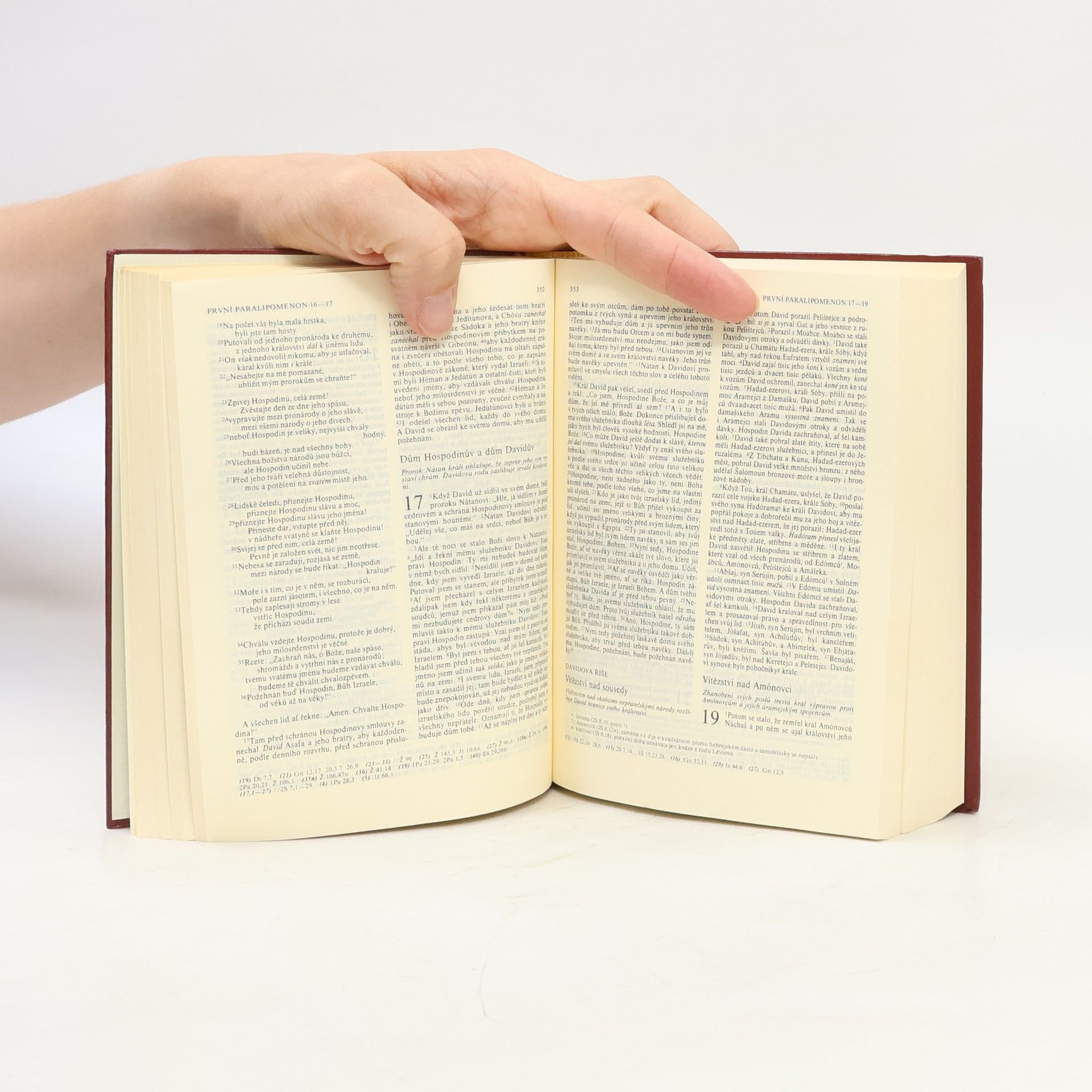 Collectif d'auteurs Bible