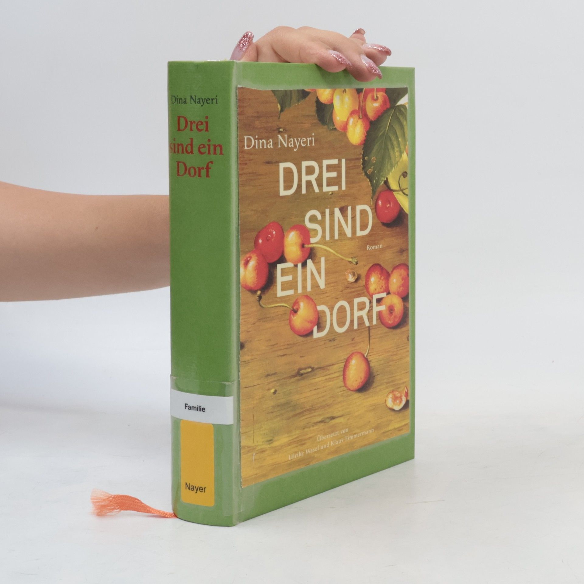 Dina Nayeri Drei sind ein Dorf