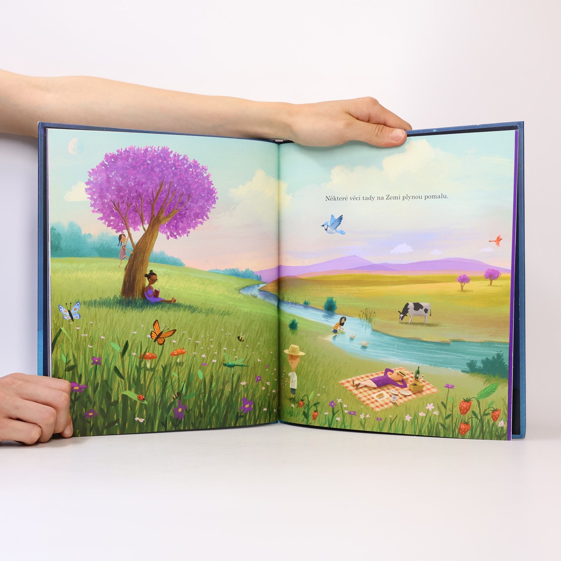 Oliver Jeffers Tady jsme doma