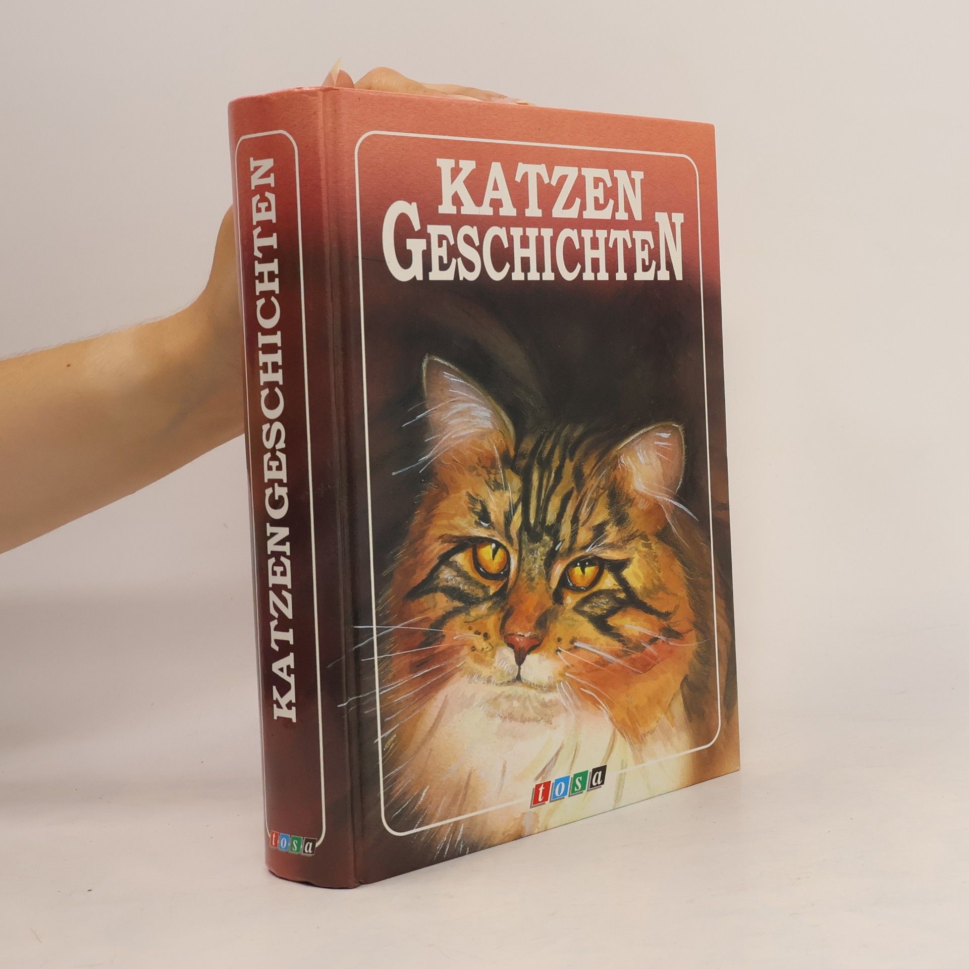 Kolektiv autorů Katzengeschichten