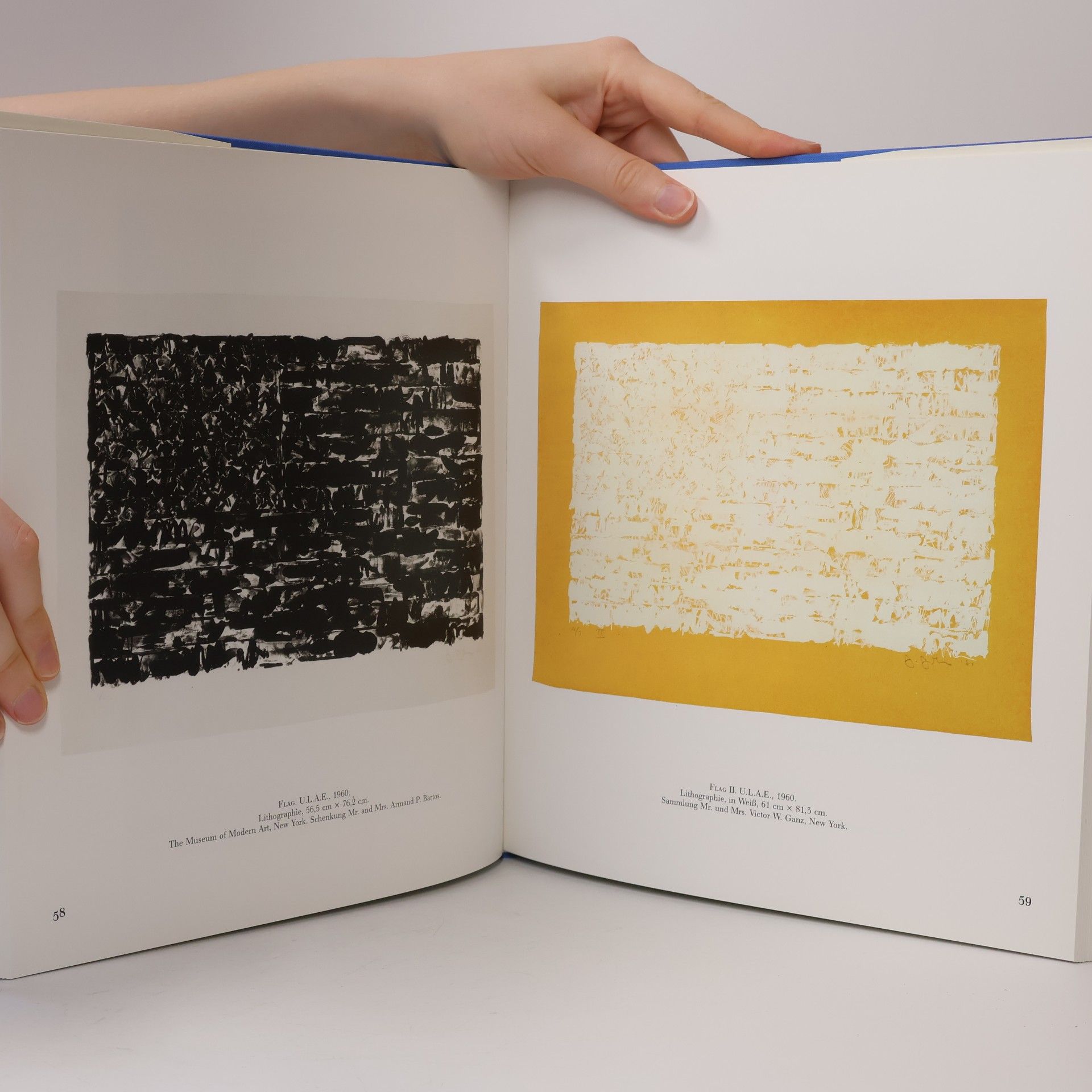 Riva Castleman Jasper Johns, die Druckgraphik