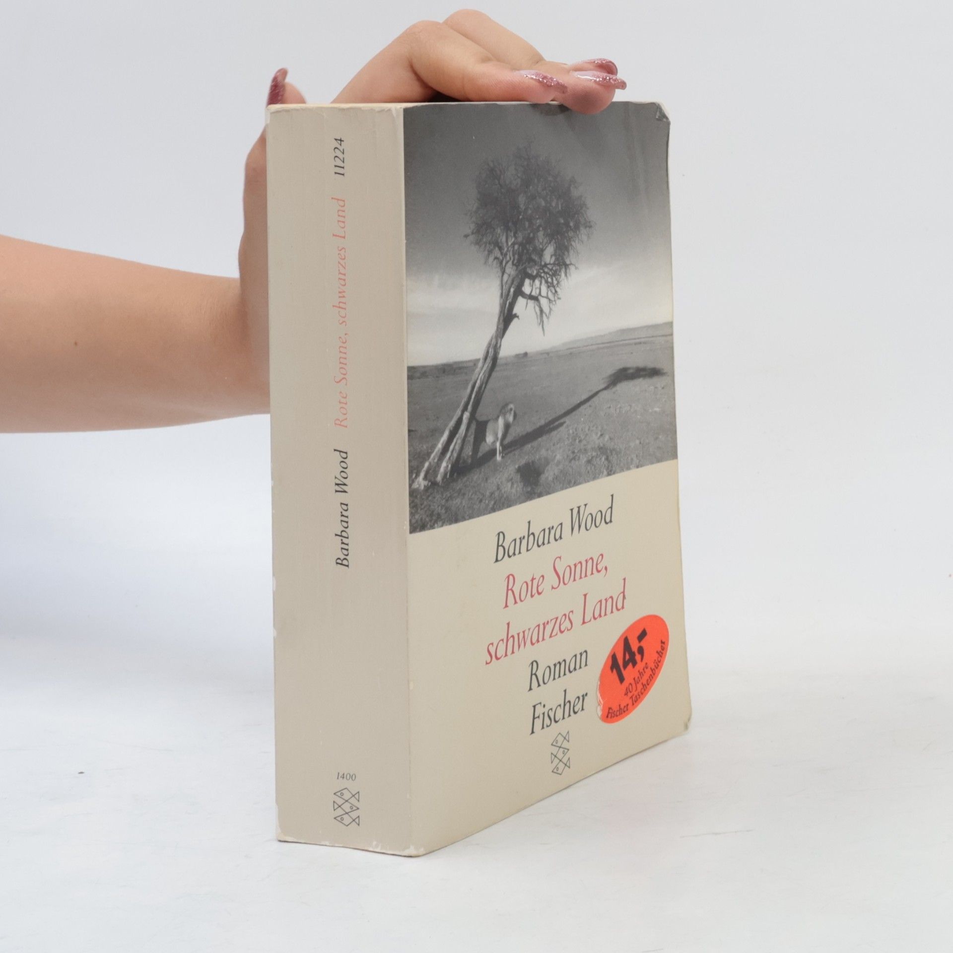 Barbara Wood Rote Sonne schwarzes Land