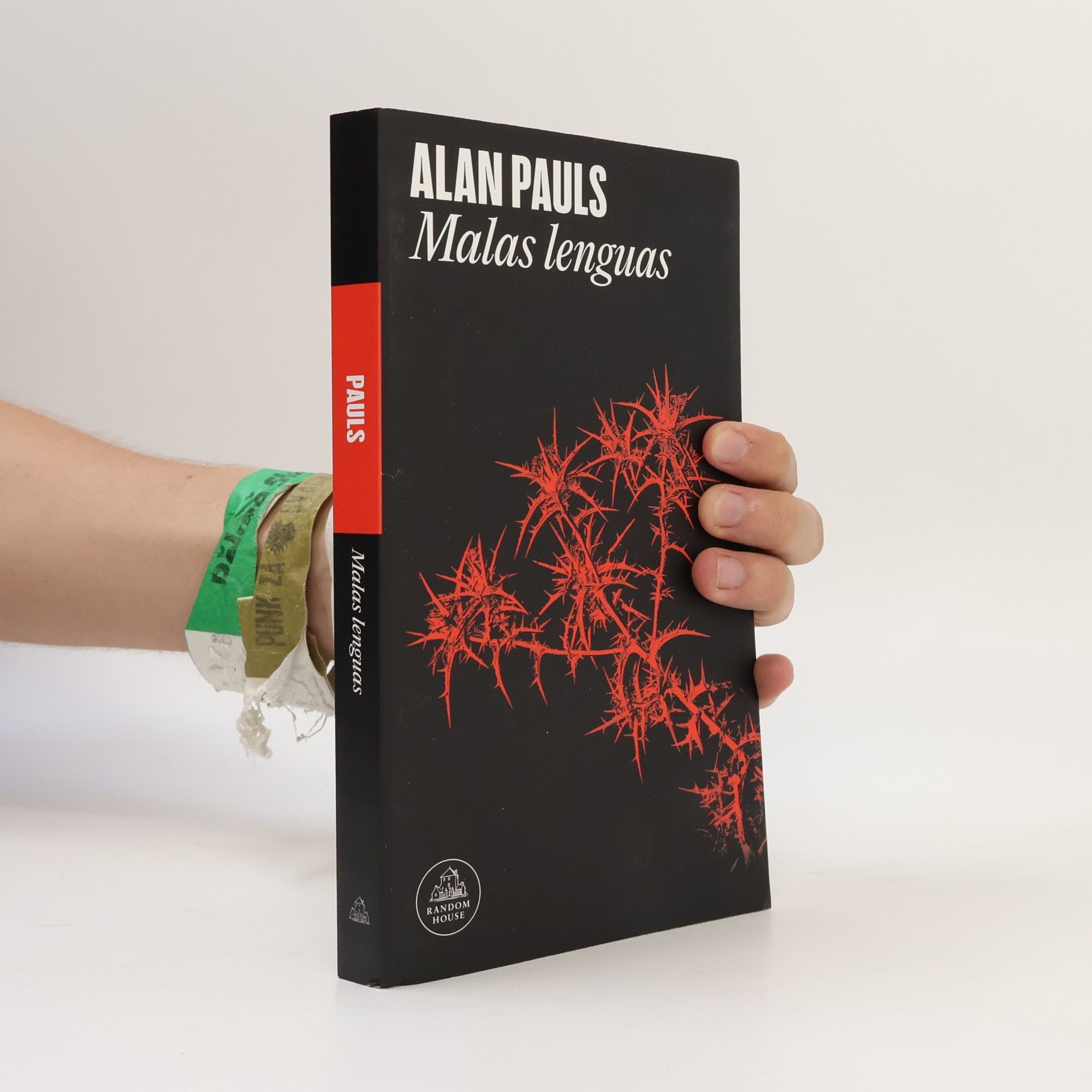 Alan Pauls Malas lenguas