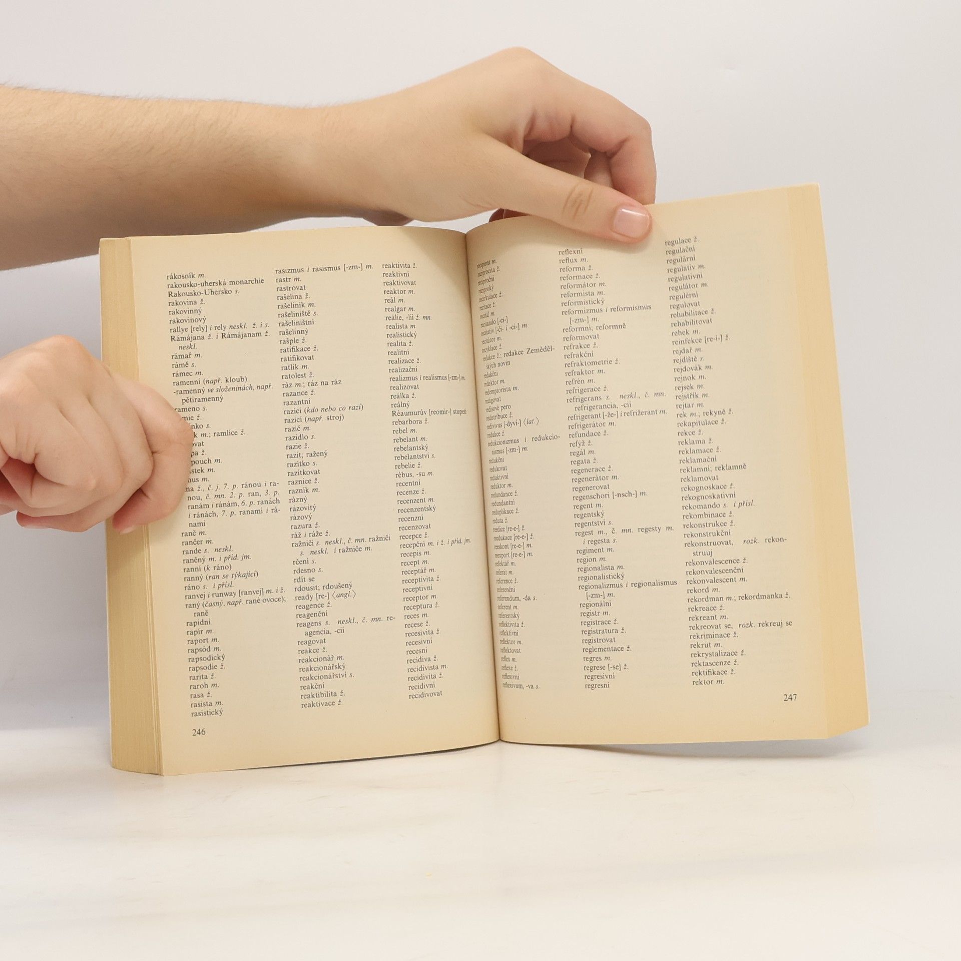 Various authors Pravidla českého pravopisu
