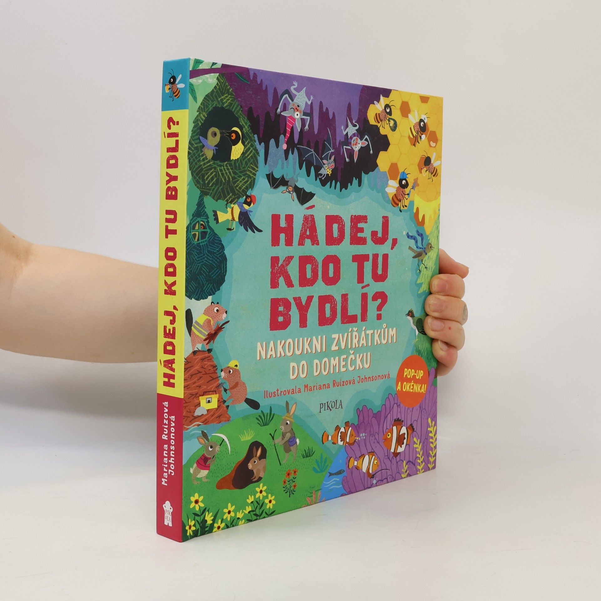 Ruth Symons Hádej, kdo tu bydlí? - Nakoukni zvířátkům do domečku