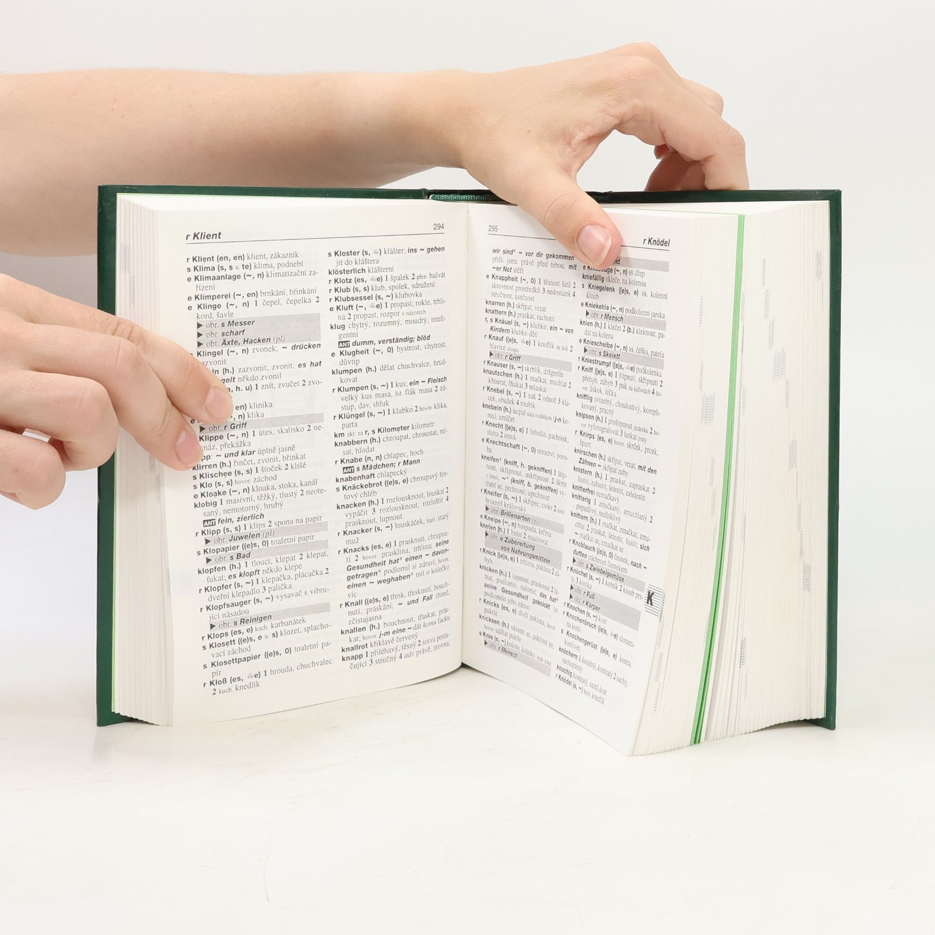 Autorenkollektiv Německo-český a česko-německý slovník