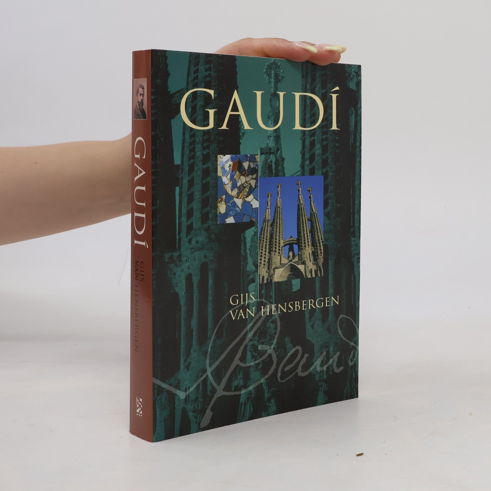 Gijs van Hensbergen Gaudí