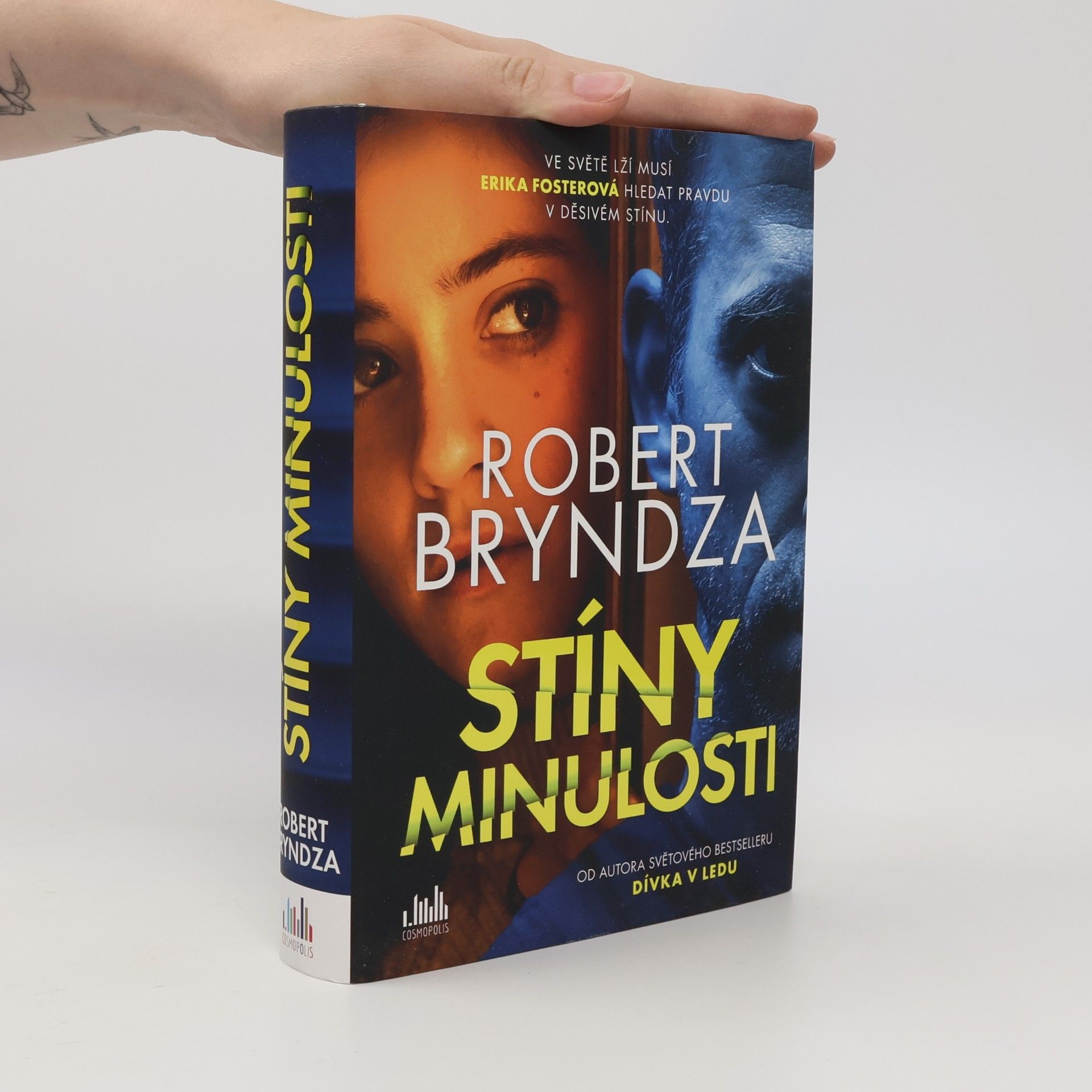 Robert Bryndza Stíny minulosti