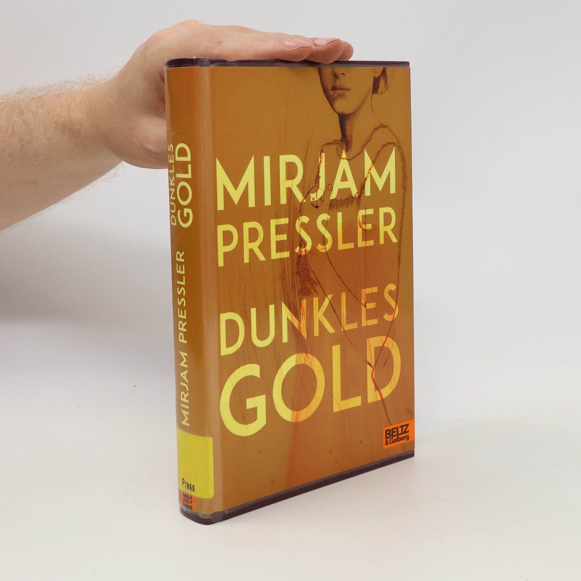 Mirjam Pressler Dunkles Gold