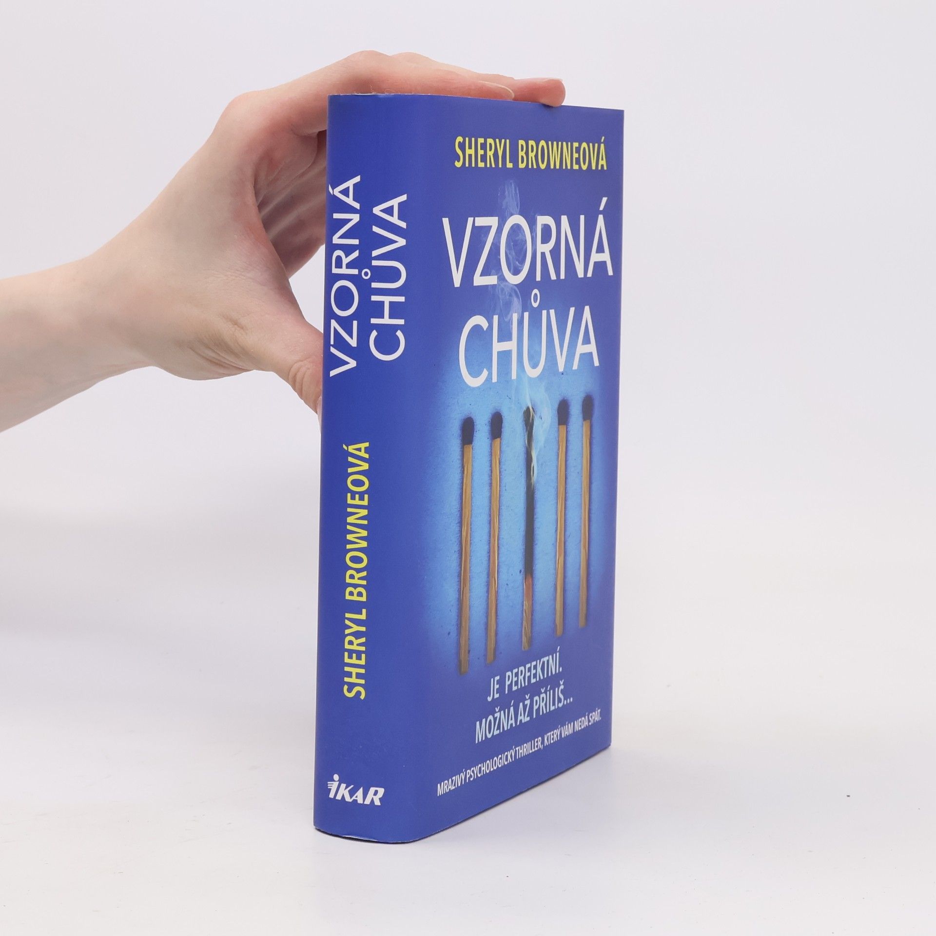 Sheryl Browne Vzorná chůva