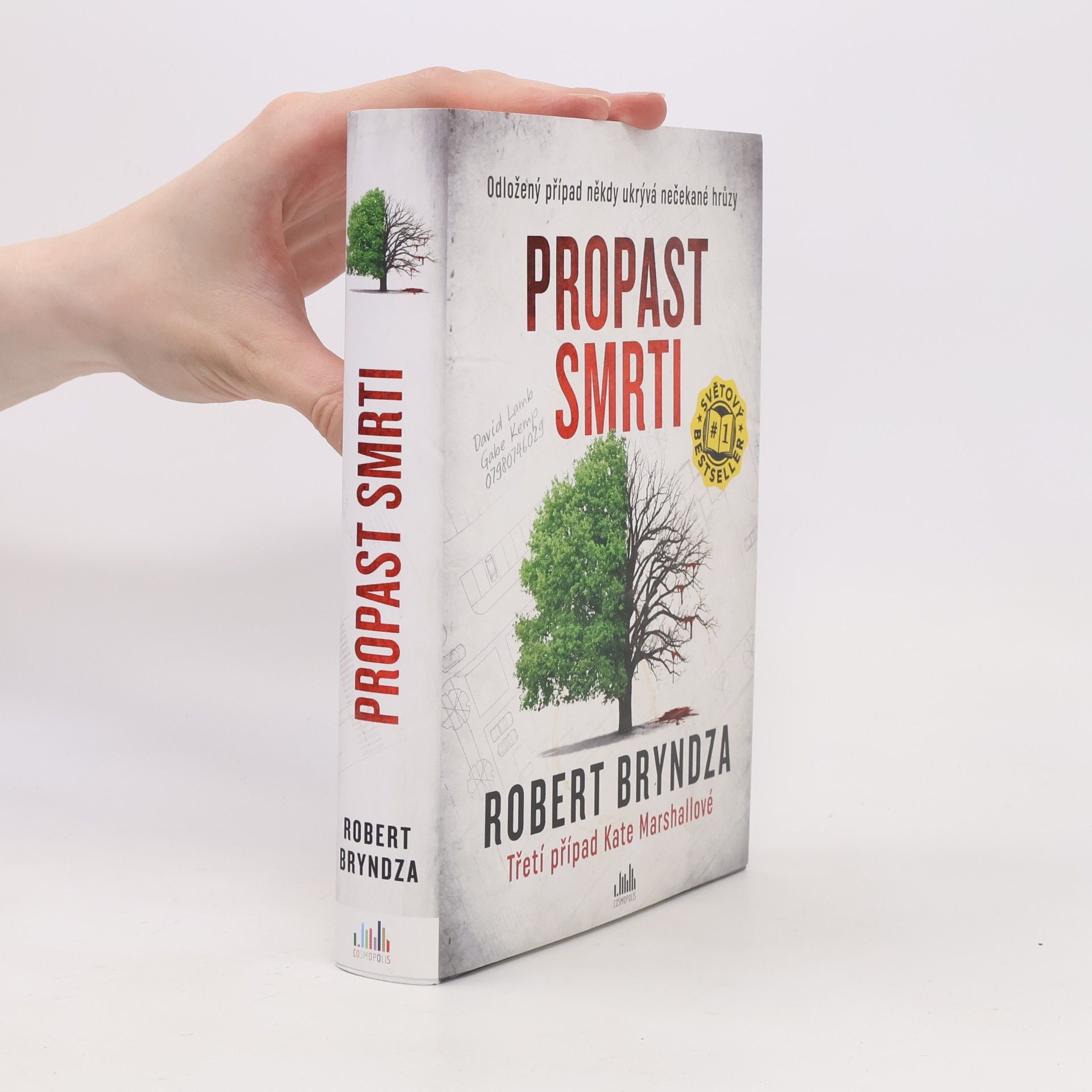 Robert Bryndza Propast smrti