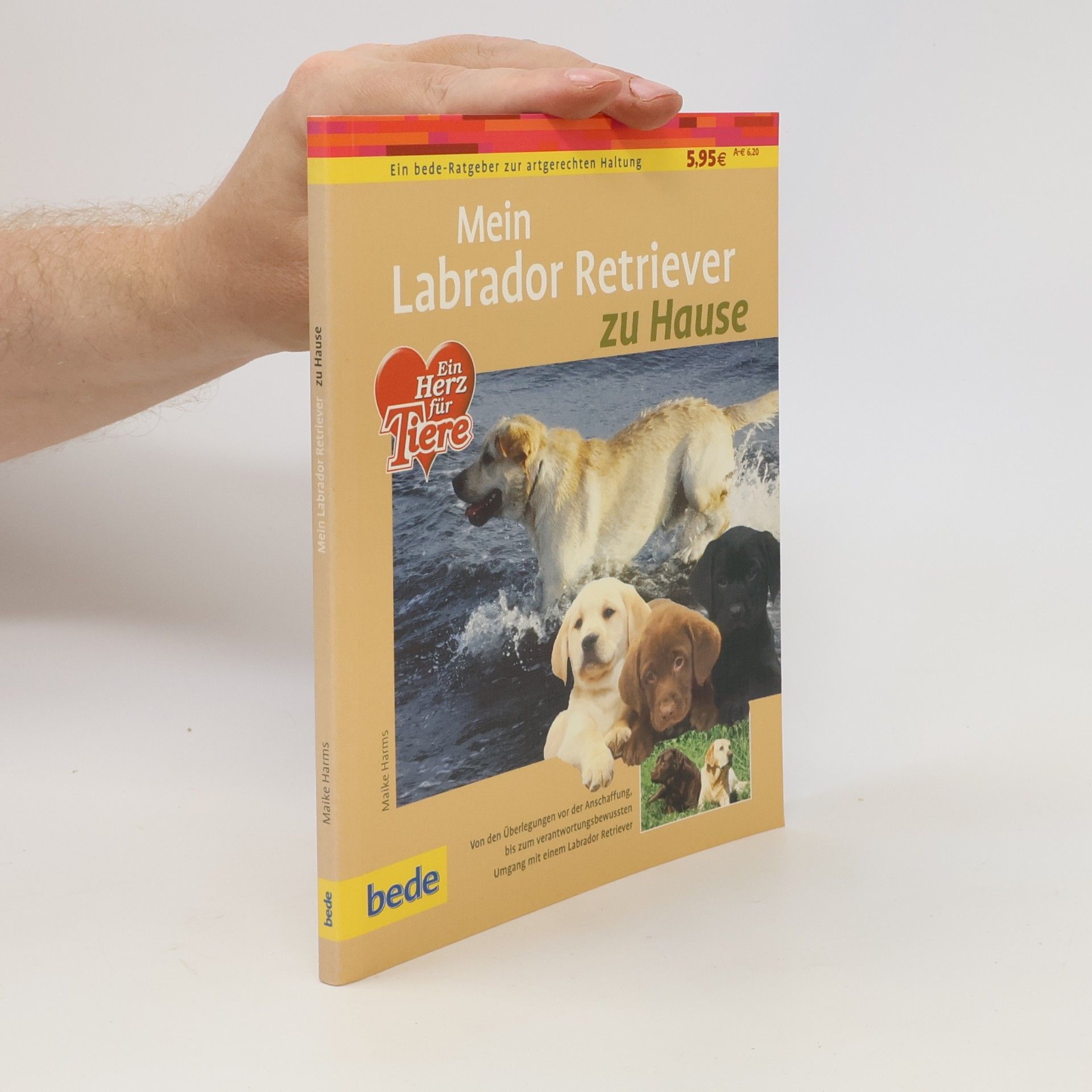 Maike Harms Mein Labrador-Retriever zu Hause
